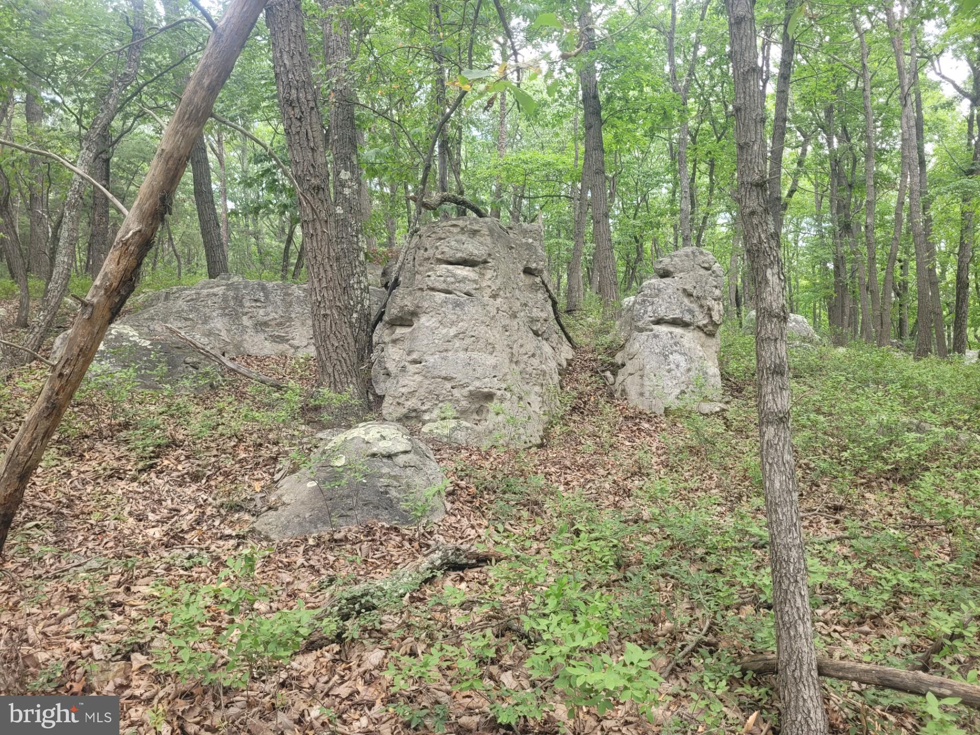 RIVER RIDGE - Land