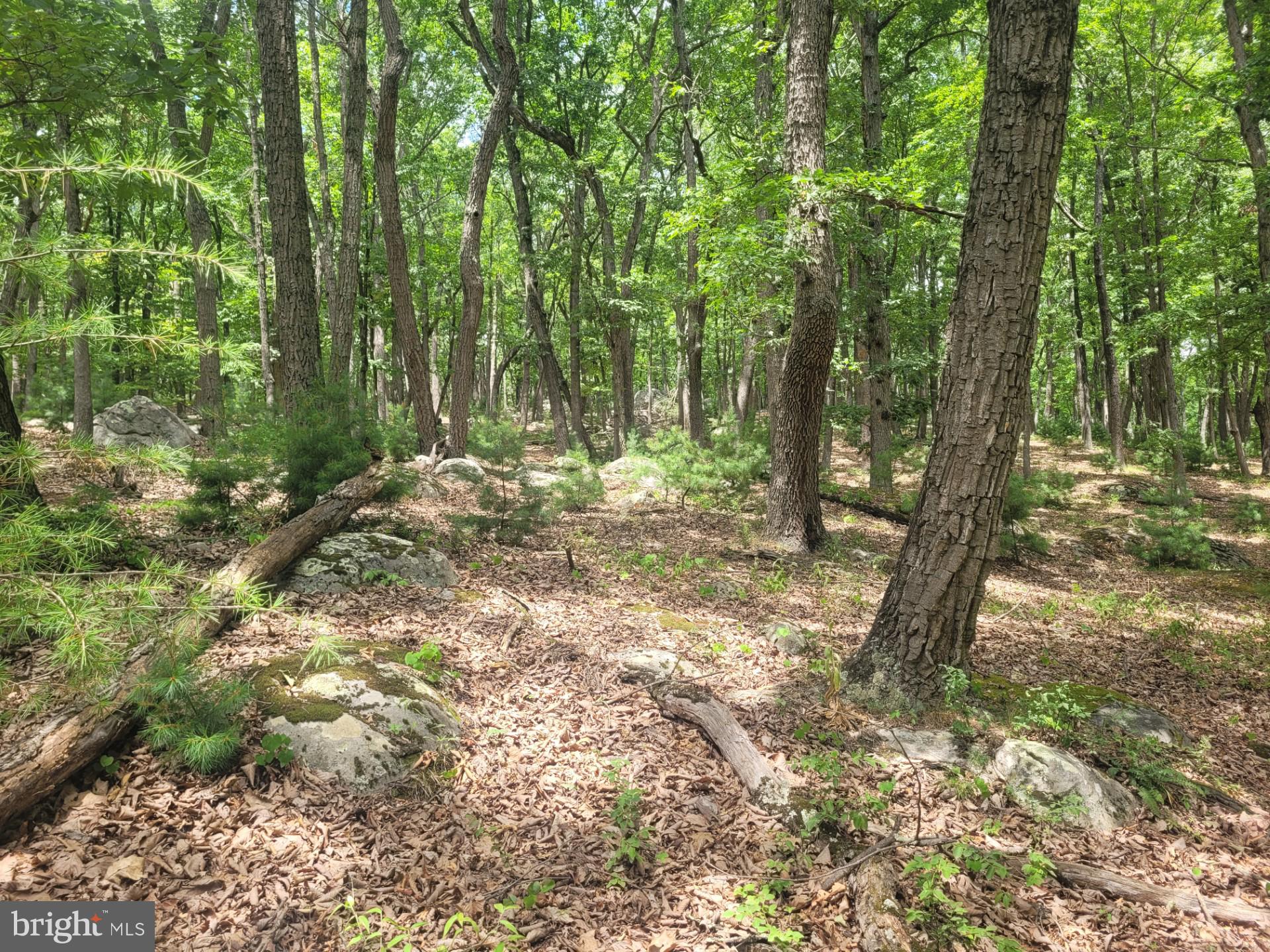 RIVER RIDGE - Land