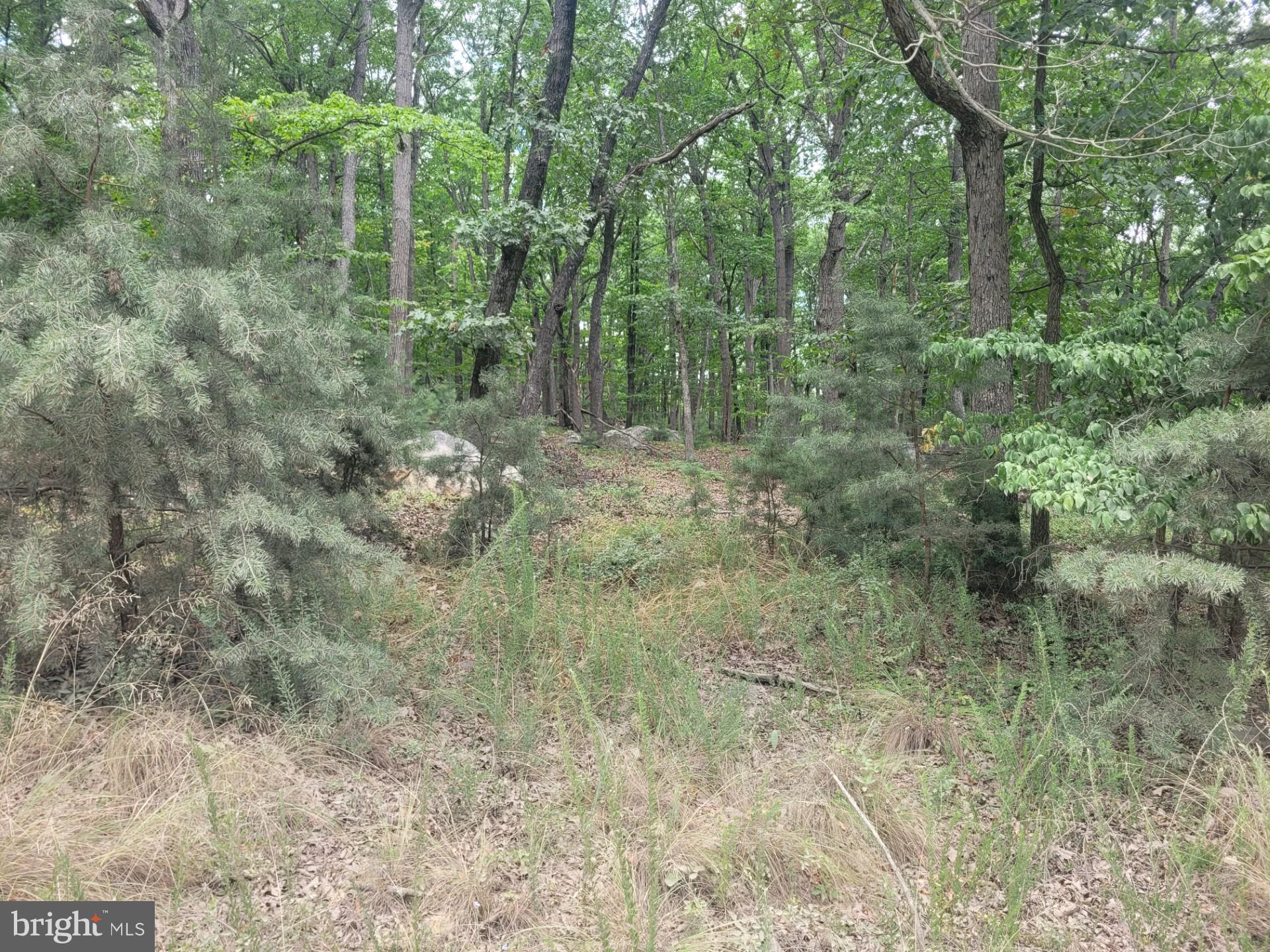 RIVER RIDGE - Land
