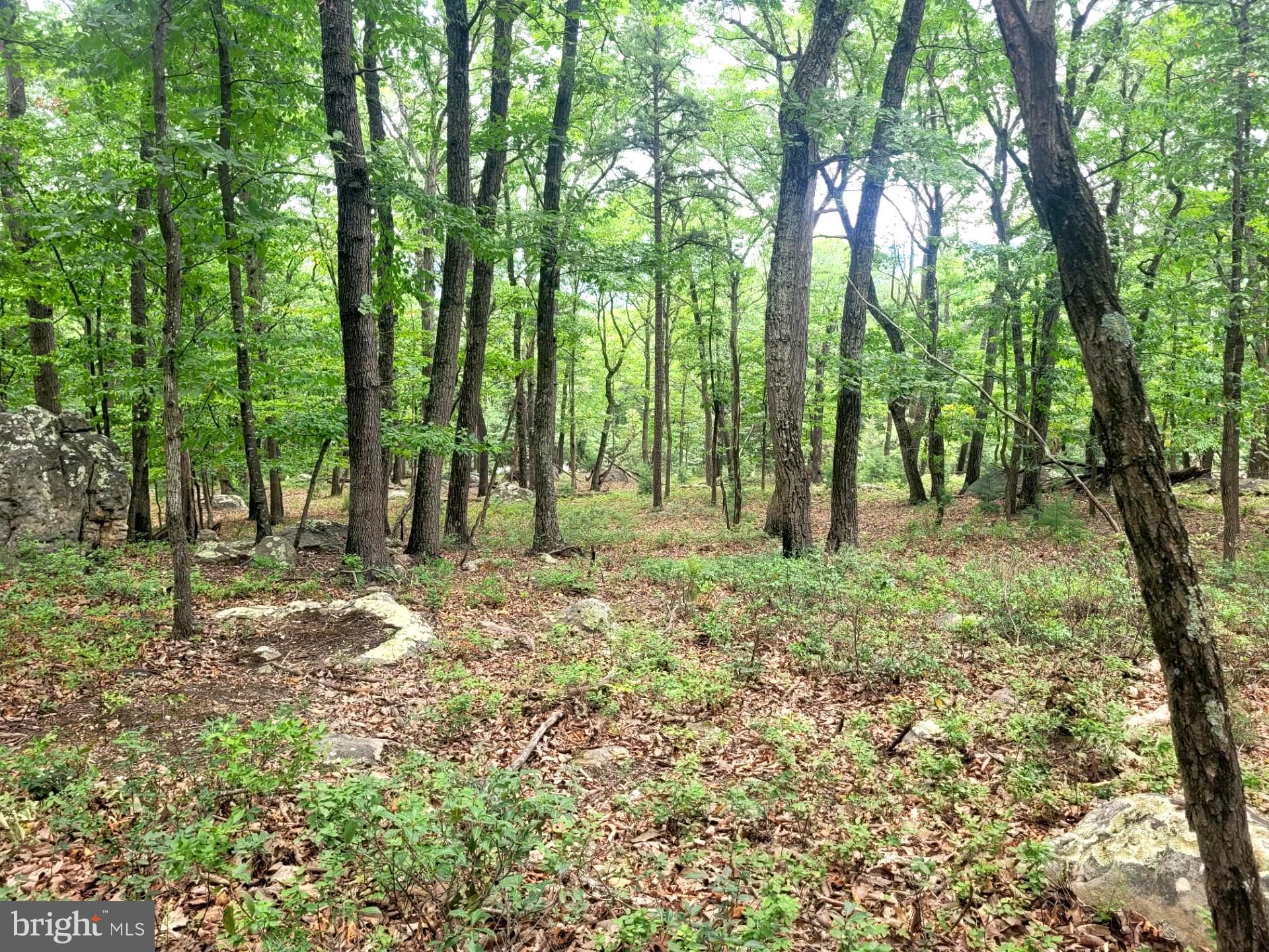 RIVER RIDGE - Land