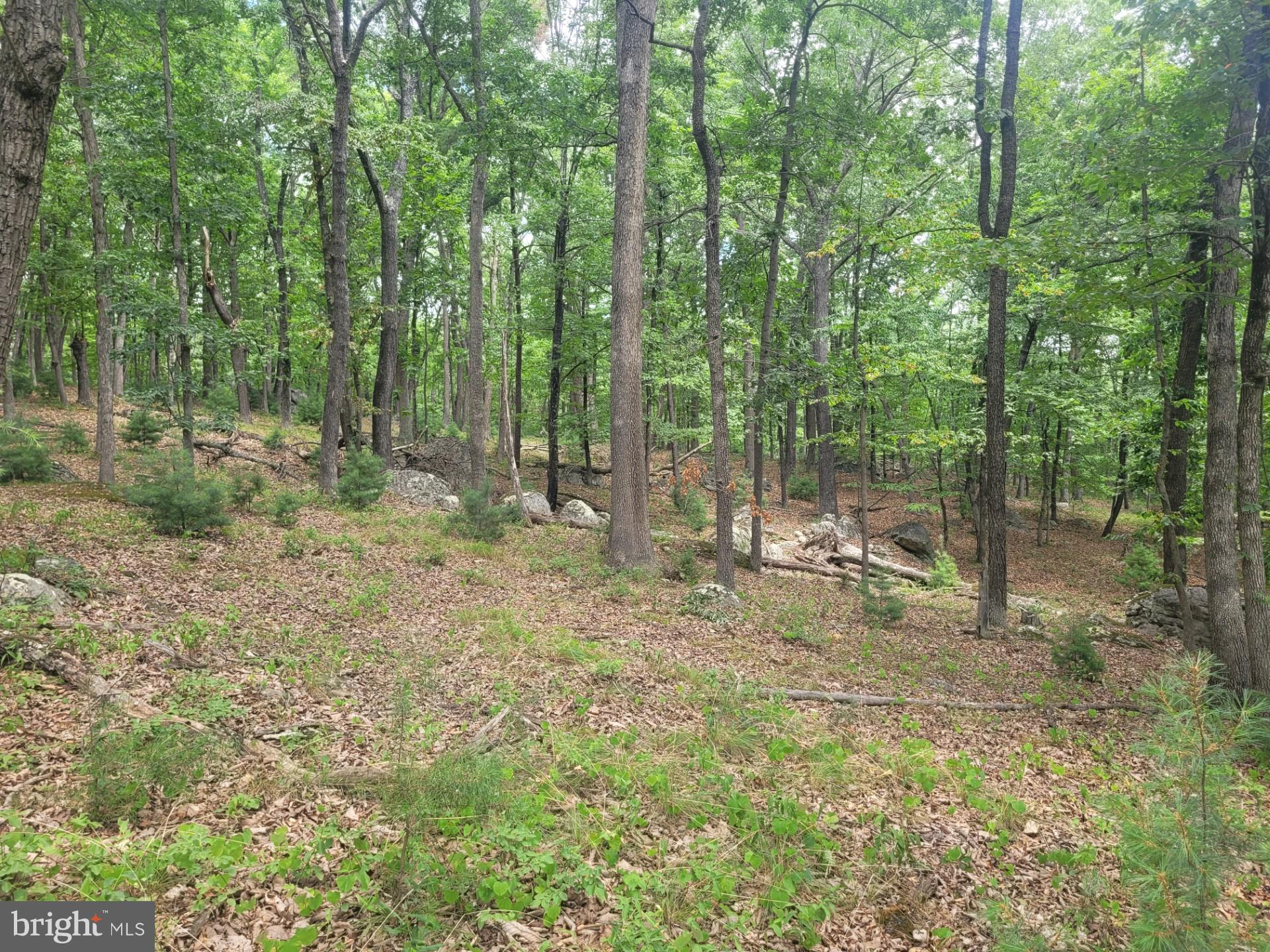 RIVER RIDGE - Land