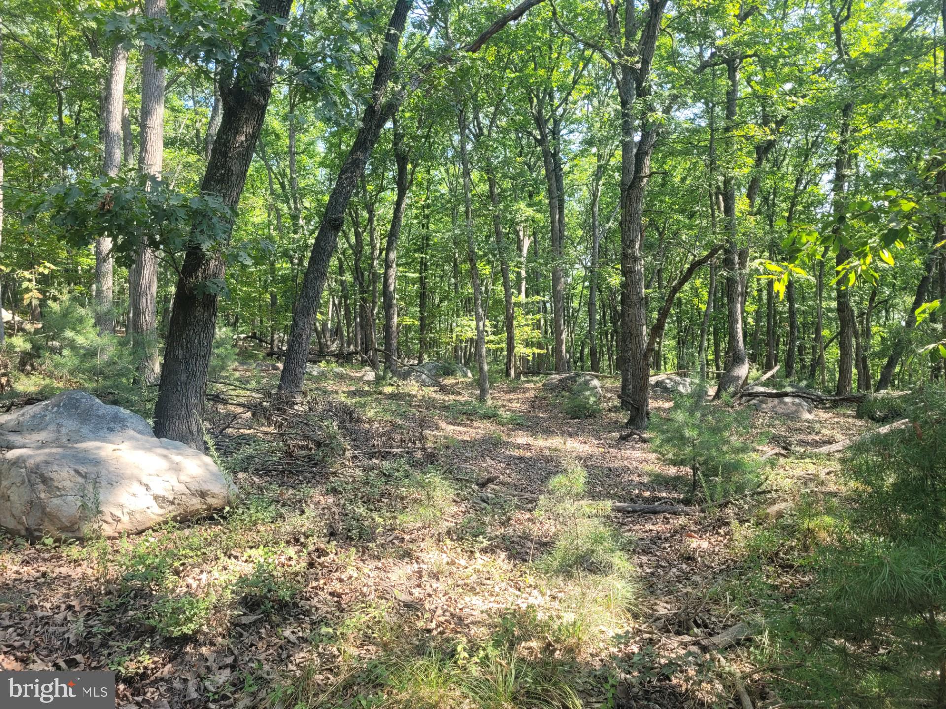 RIVER RIDGE - Land
