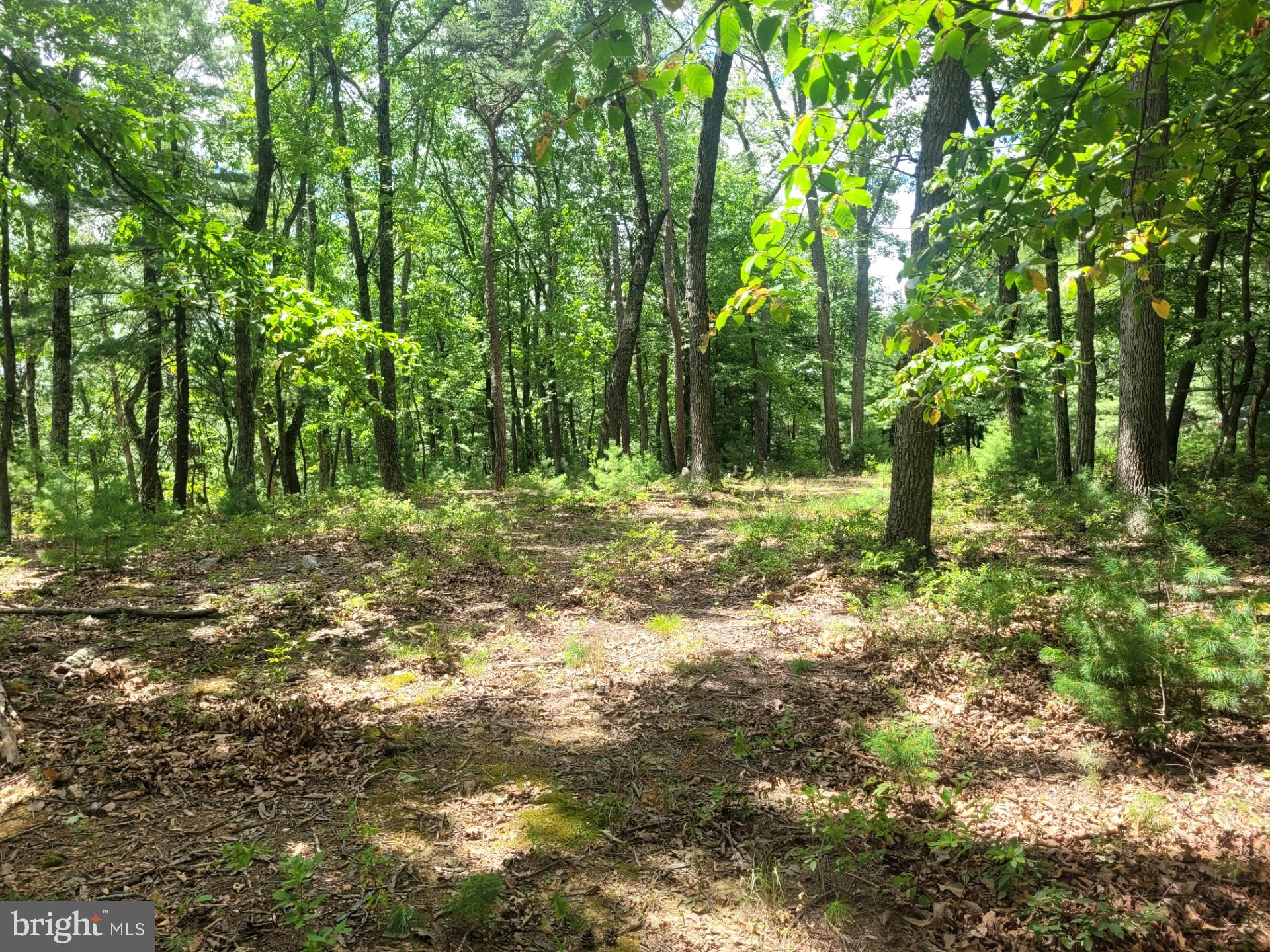 RIVER RIDGE - Land