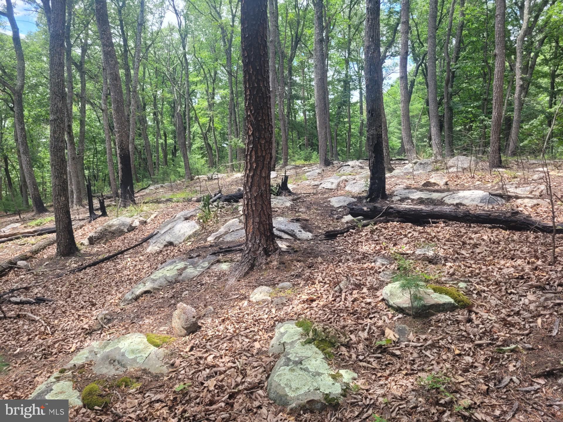 RIVER RIDGE - Land