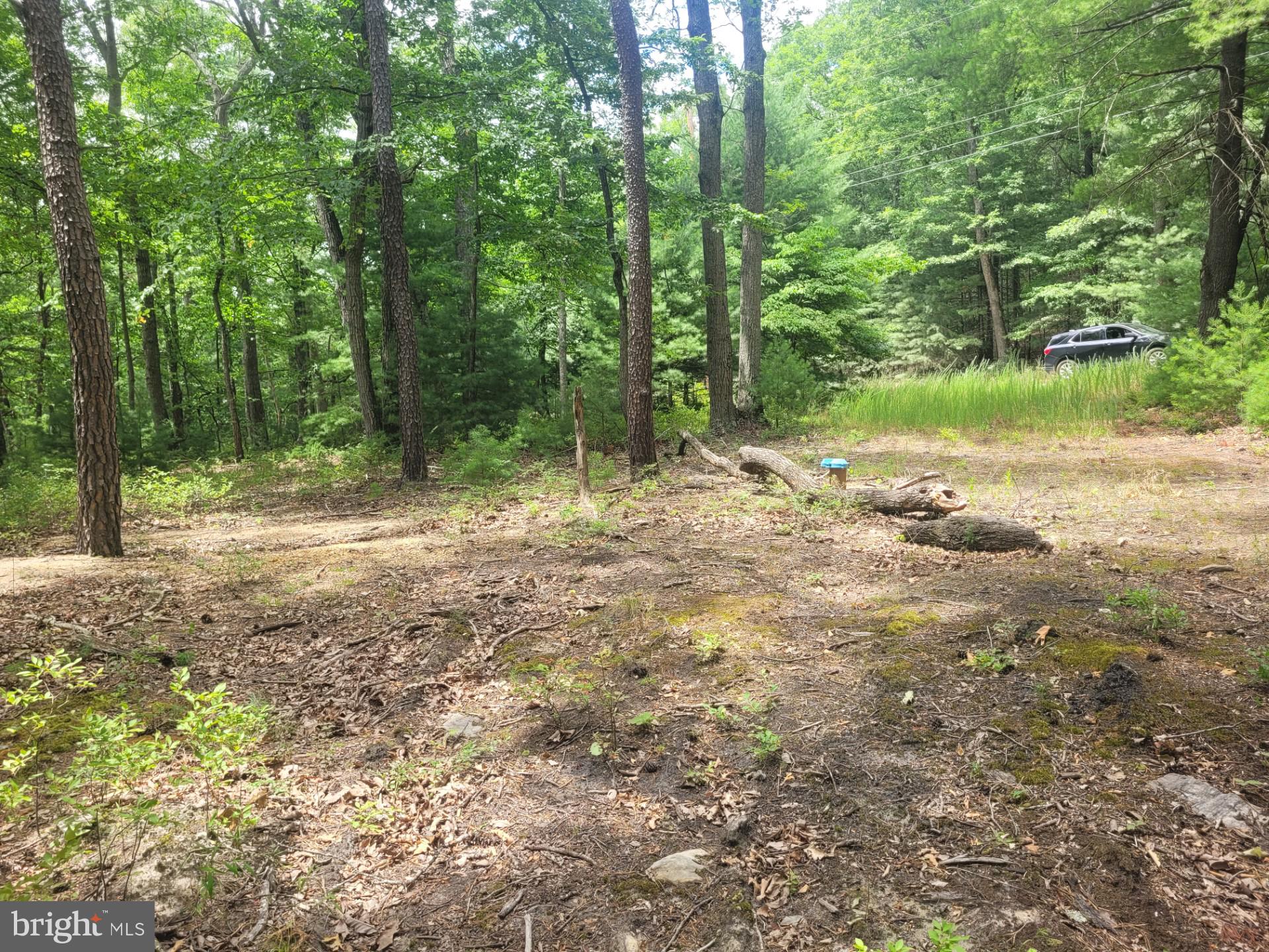 RIVER RIDGE - Land
