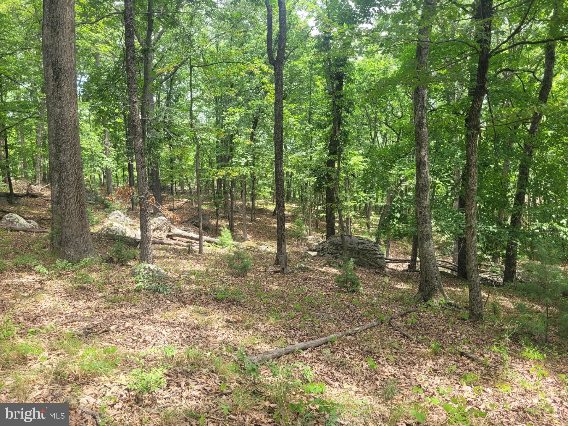 RIVER RIDGE - Land