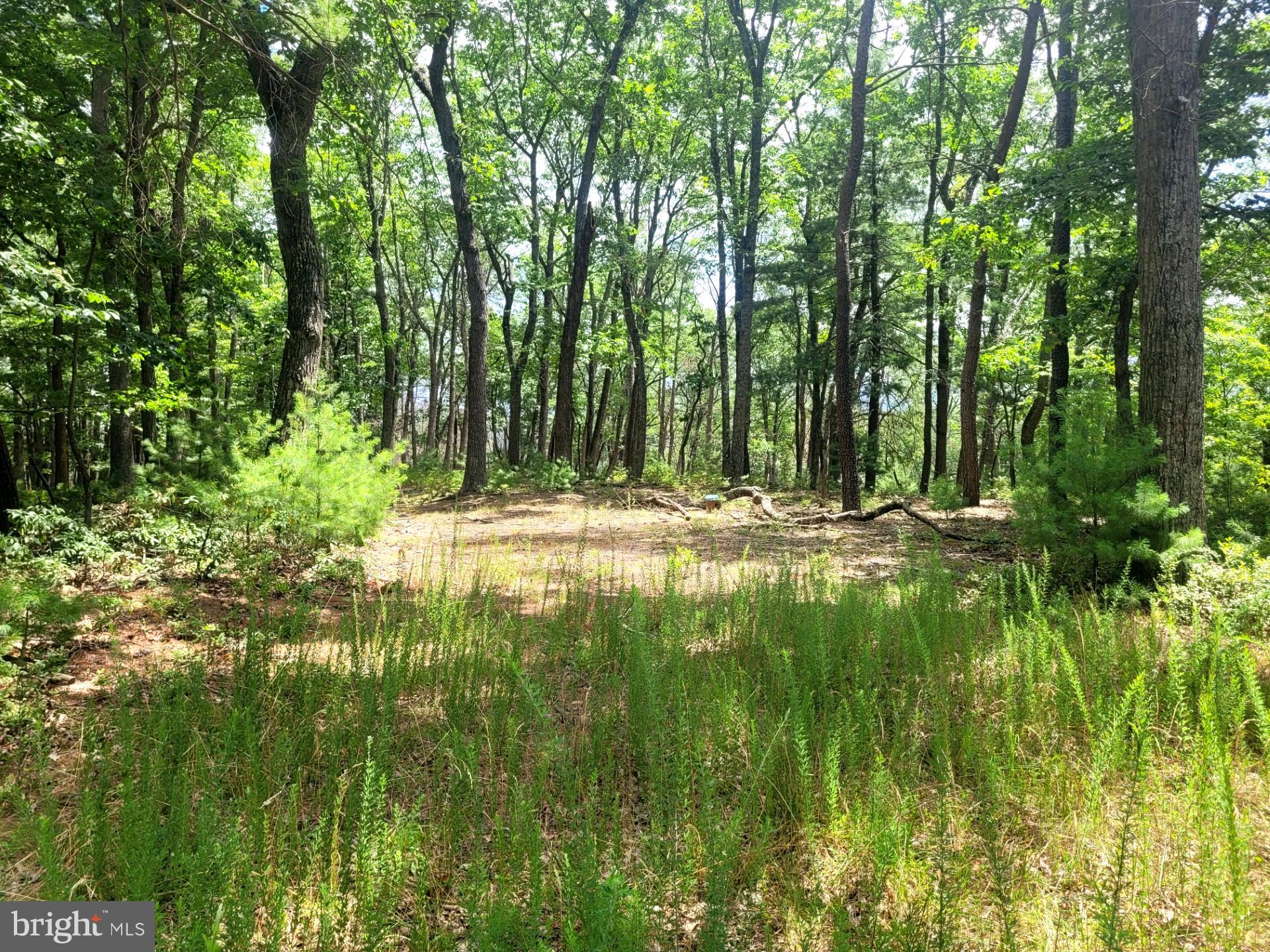 RIVER RIDGE - Land