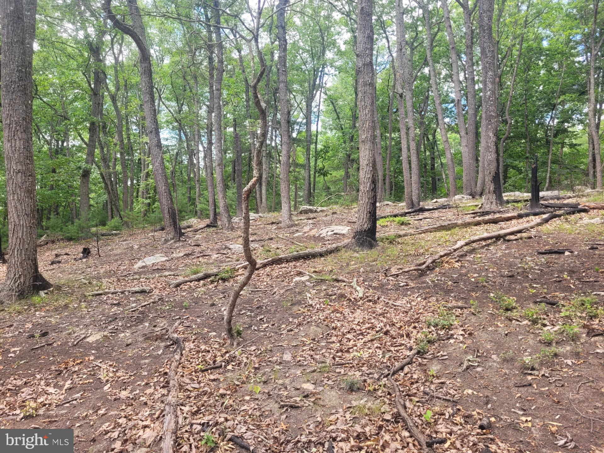 RIVER RIDGE - Land