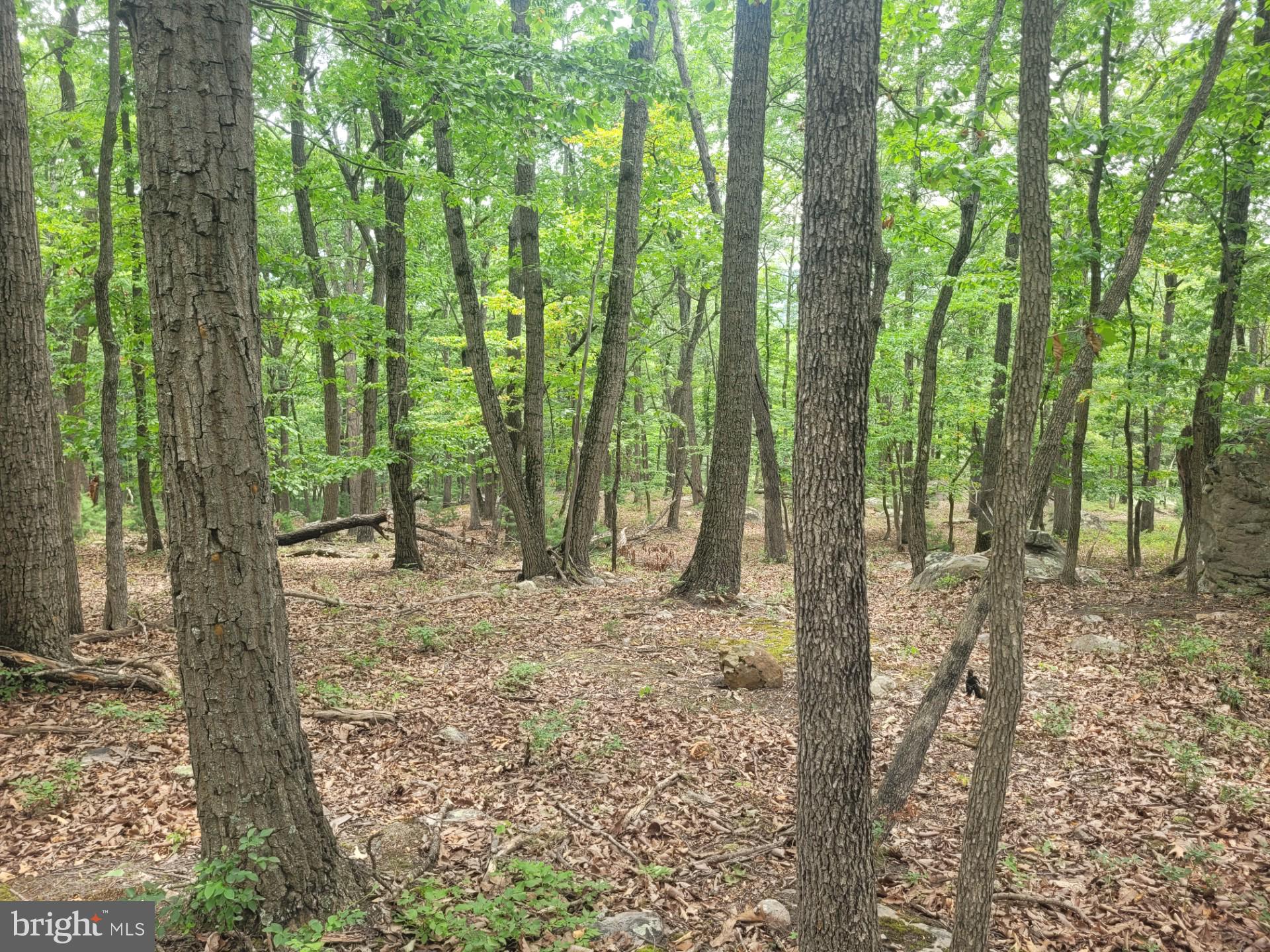 RIVER RIDGE - Land