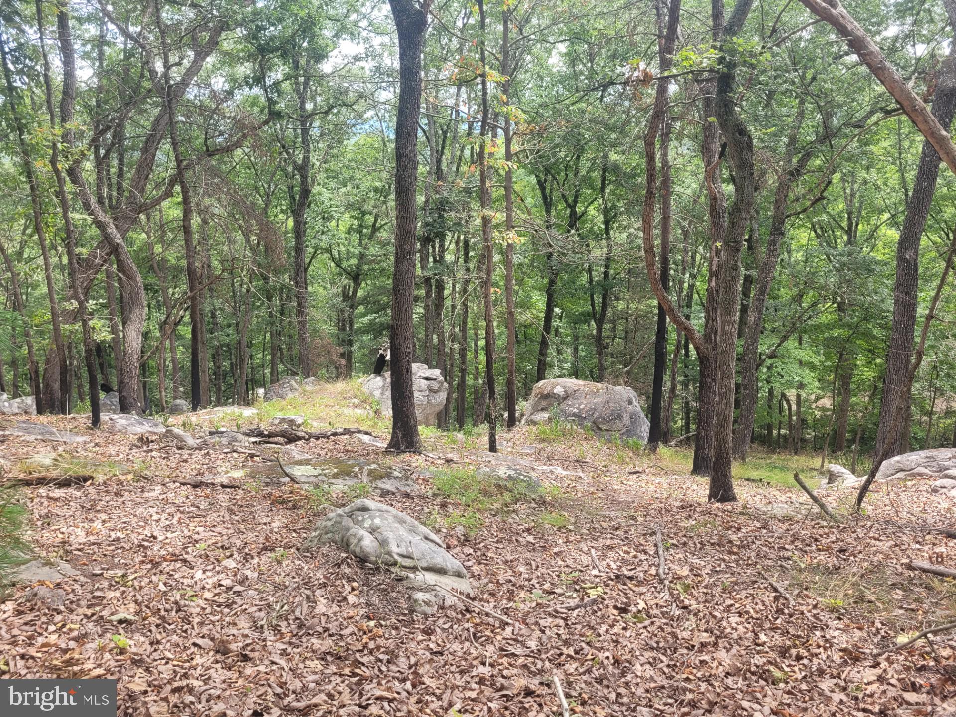 RIVER RIDGE - Land
