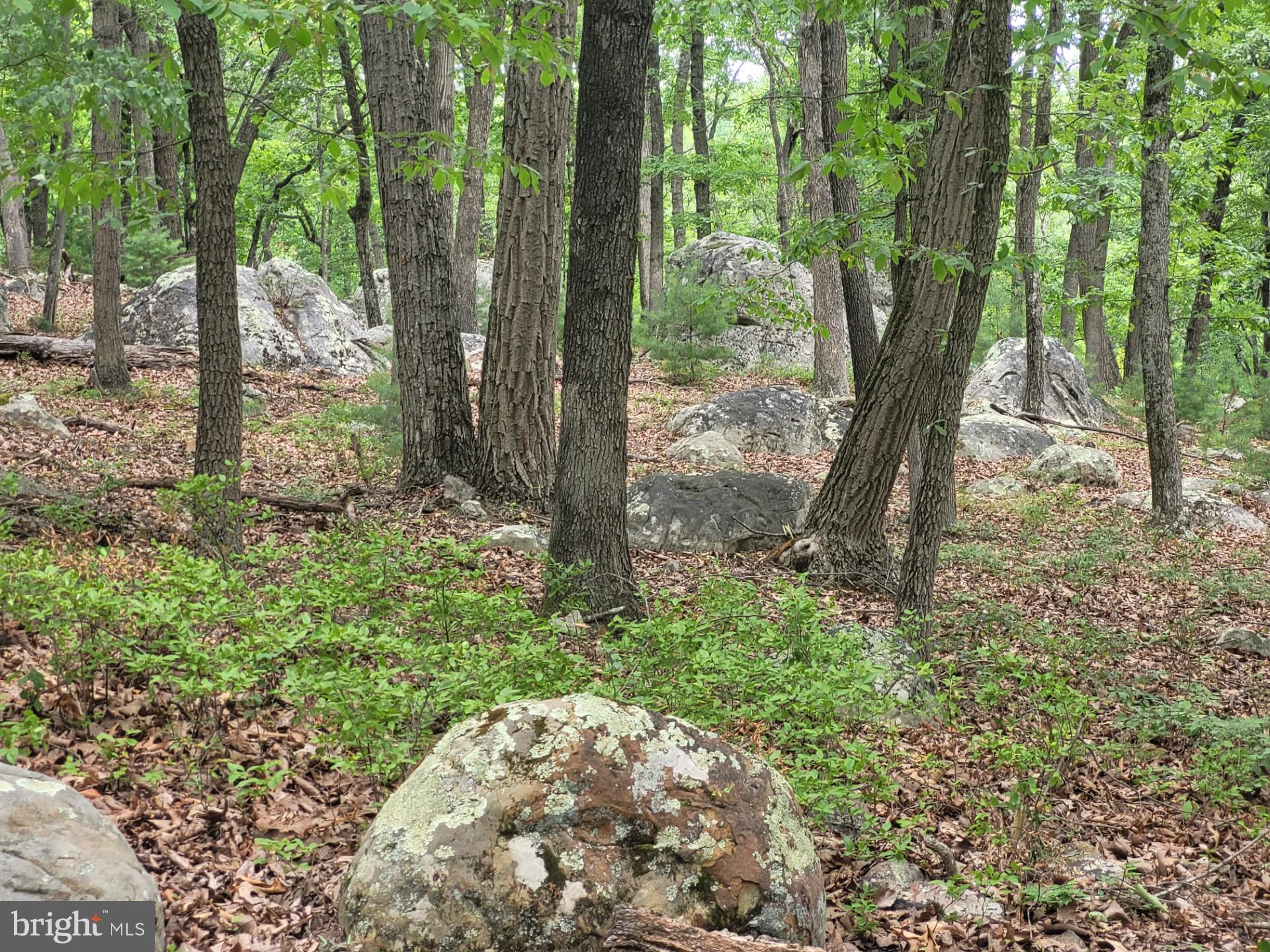 RIVER RIDGE - Land