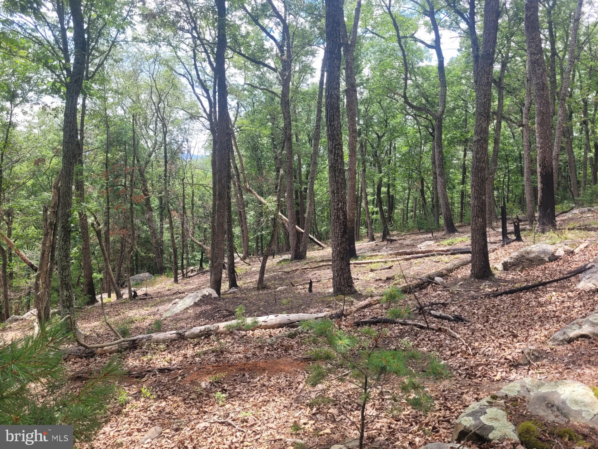 RIVER RIDGE - Land