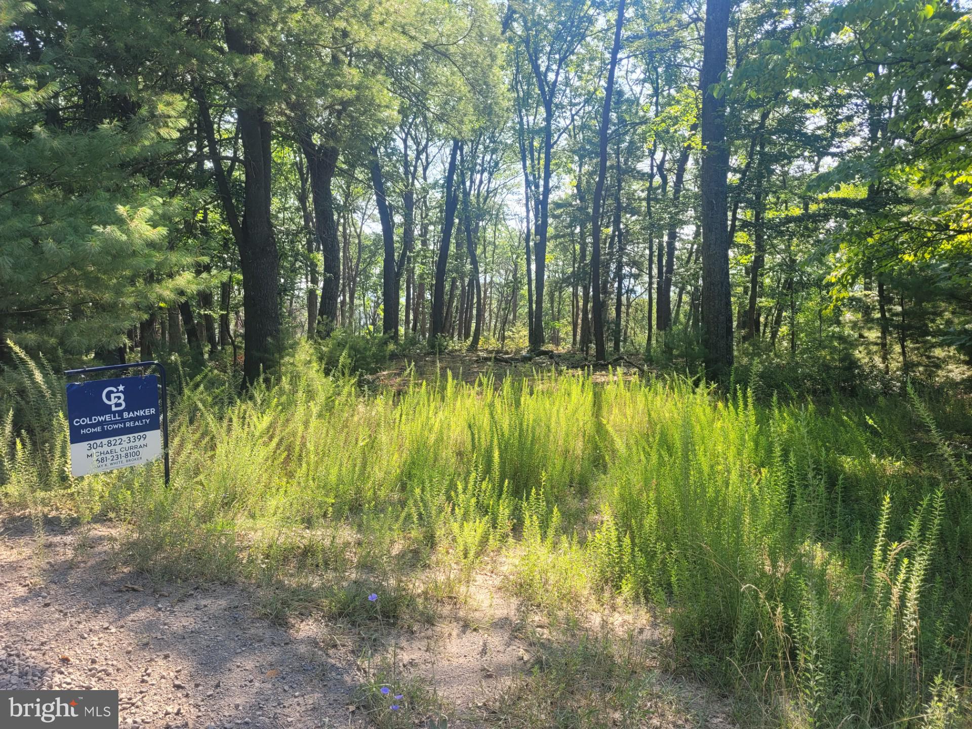 RIVER RIDGE - Land