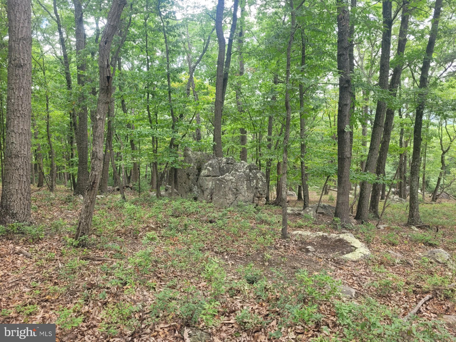 RIVER RIDGE - Land