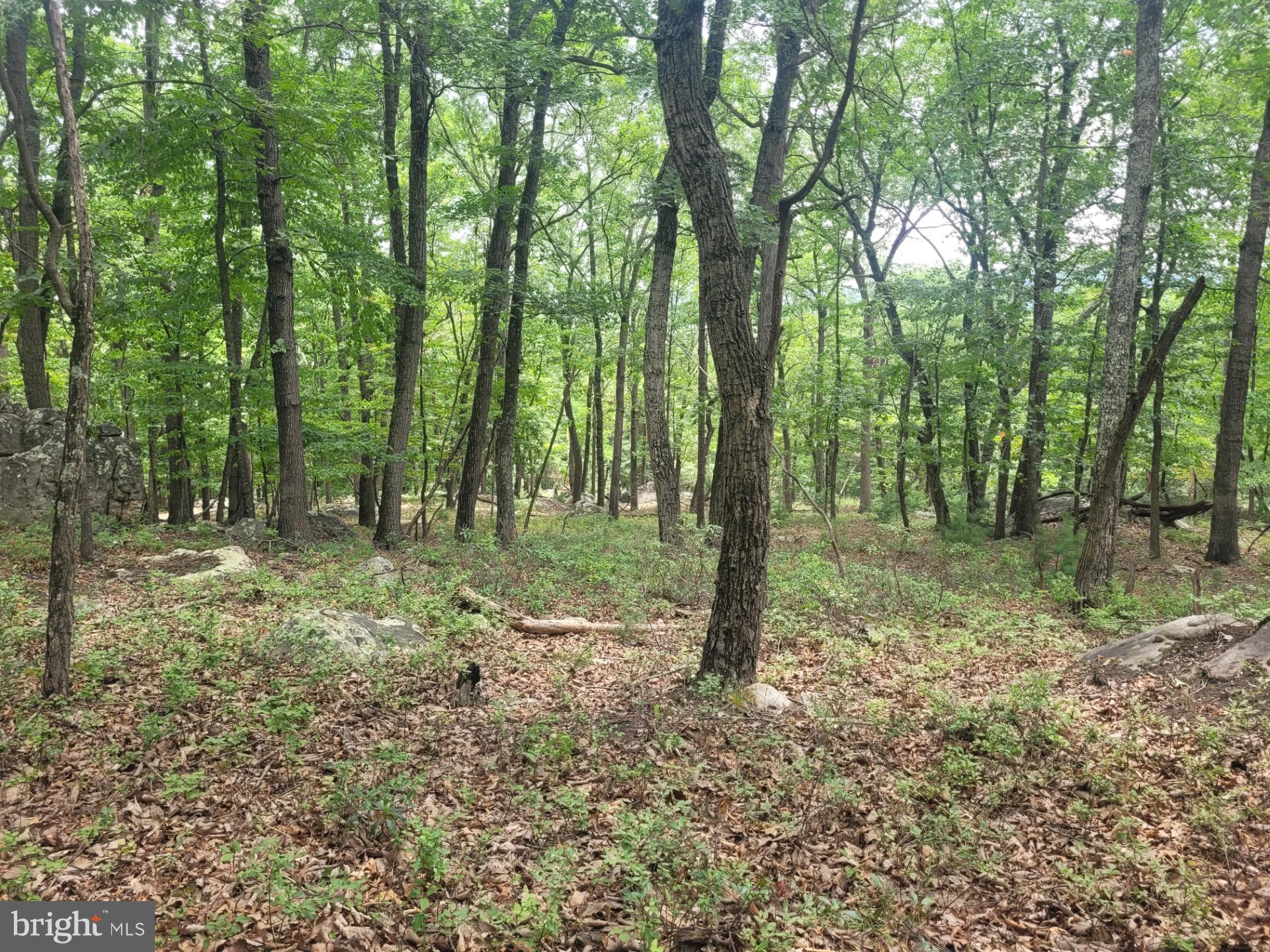 RIVER RIDGE - Land