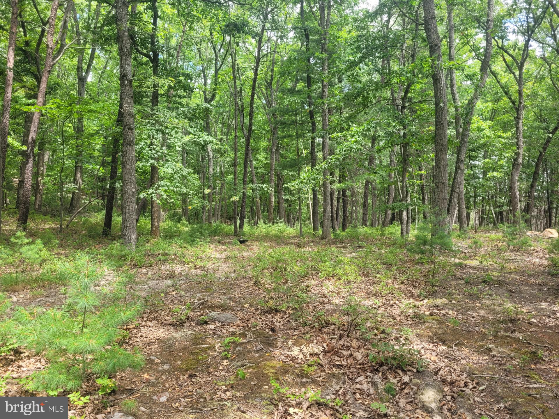 RIVER RIDGE - Land