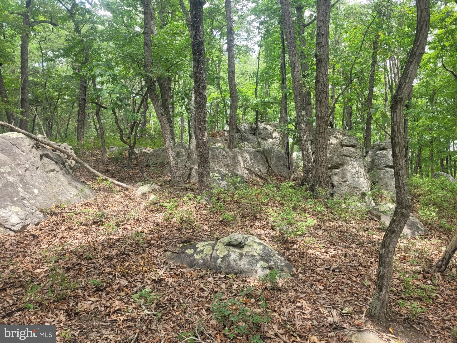RIVER RIDGE - Land