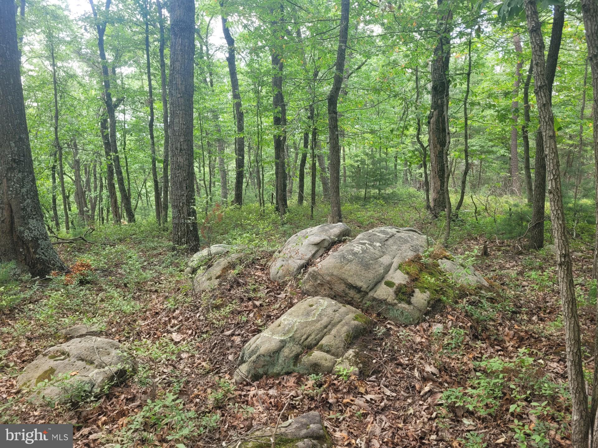RIVER RIDGE - Land
