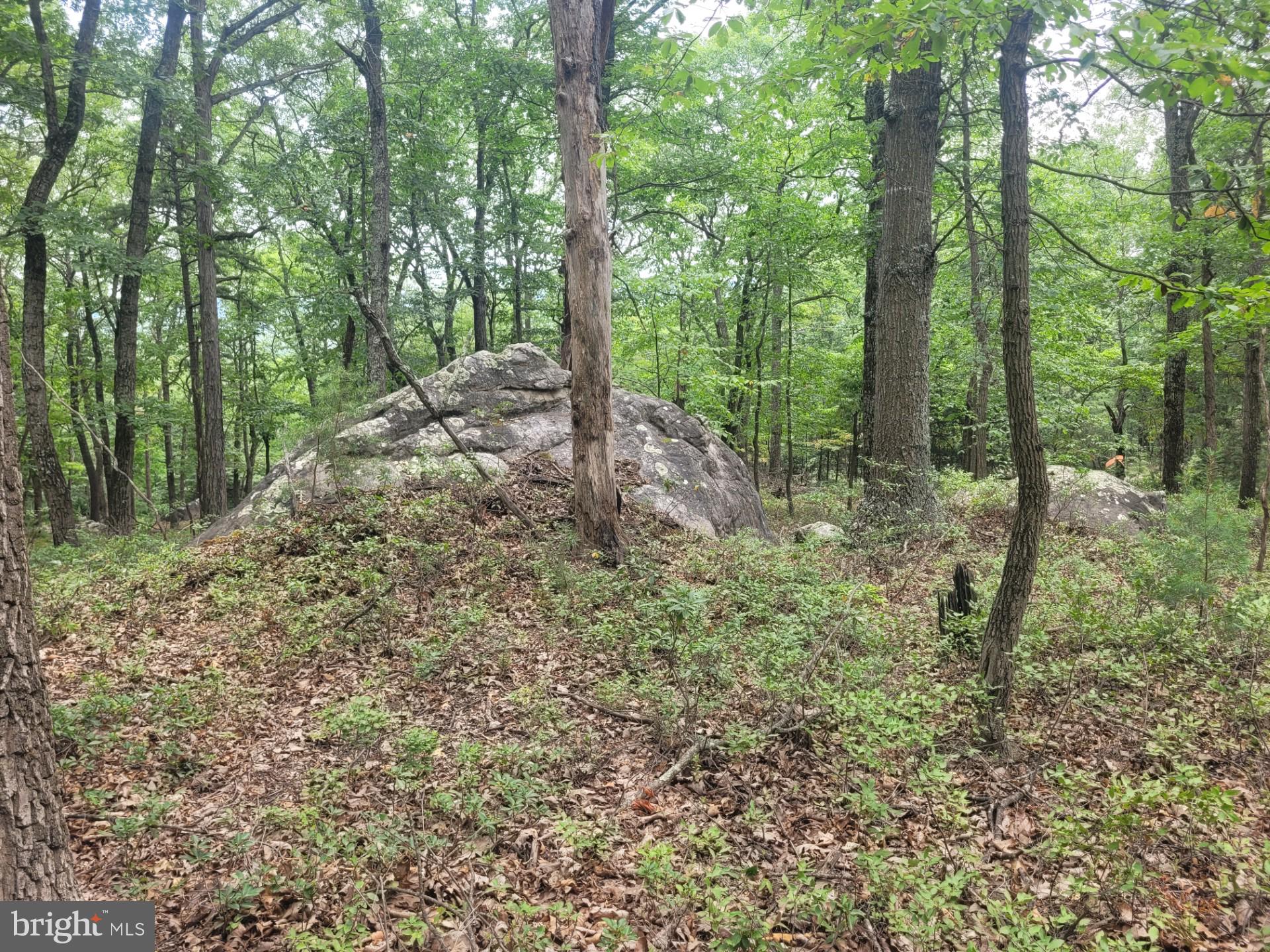 RIVER RIDGE - Land