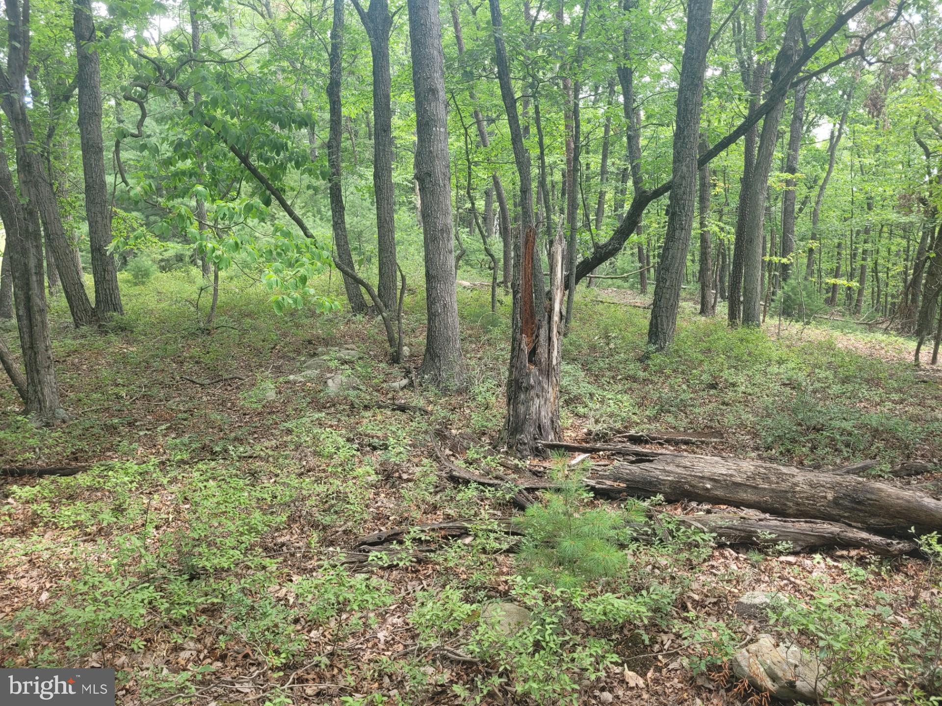 RIVER RIDGE - Land