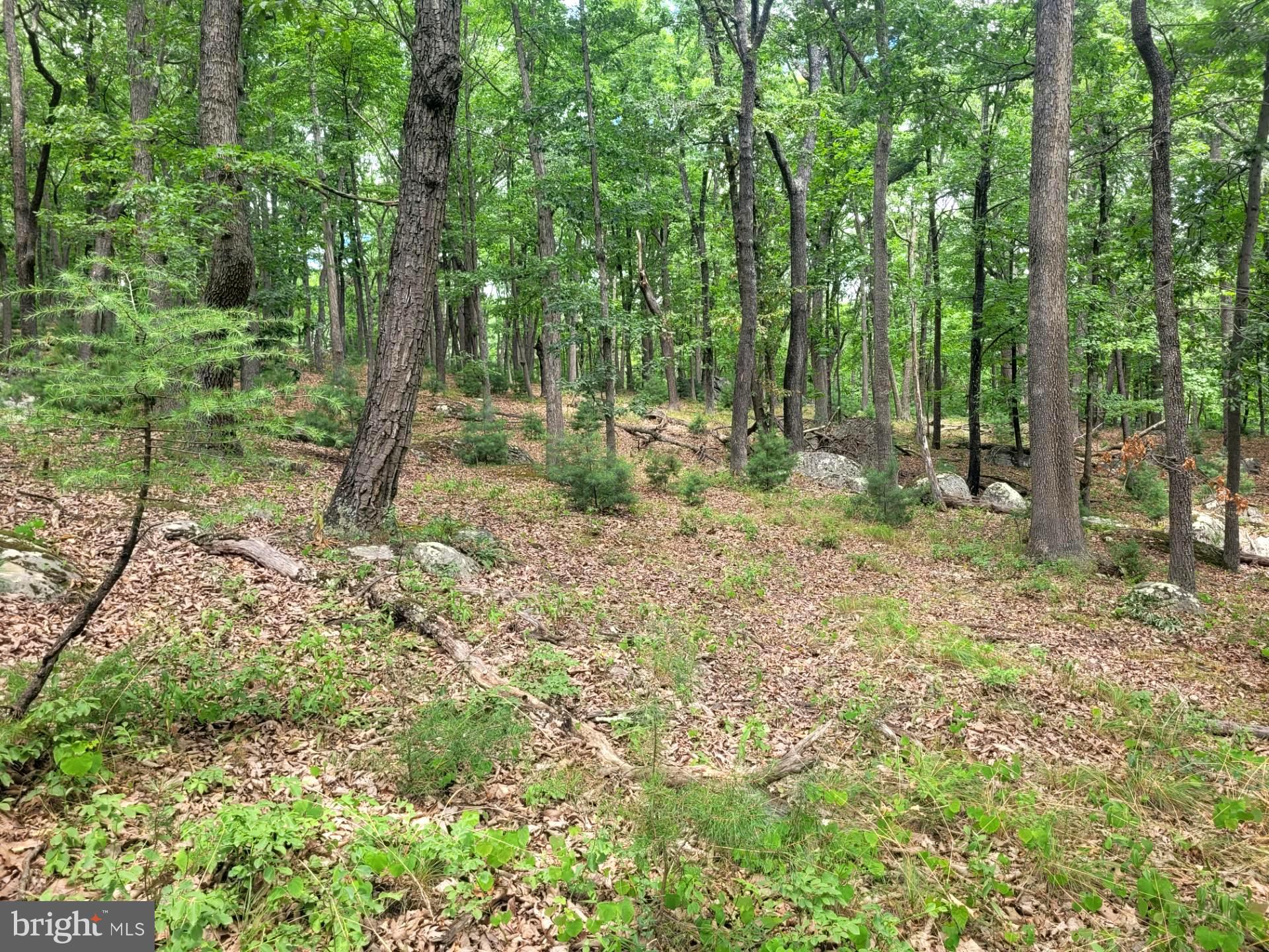 RIVER RIDGE - Land