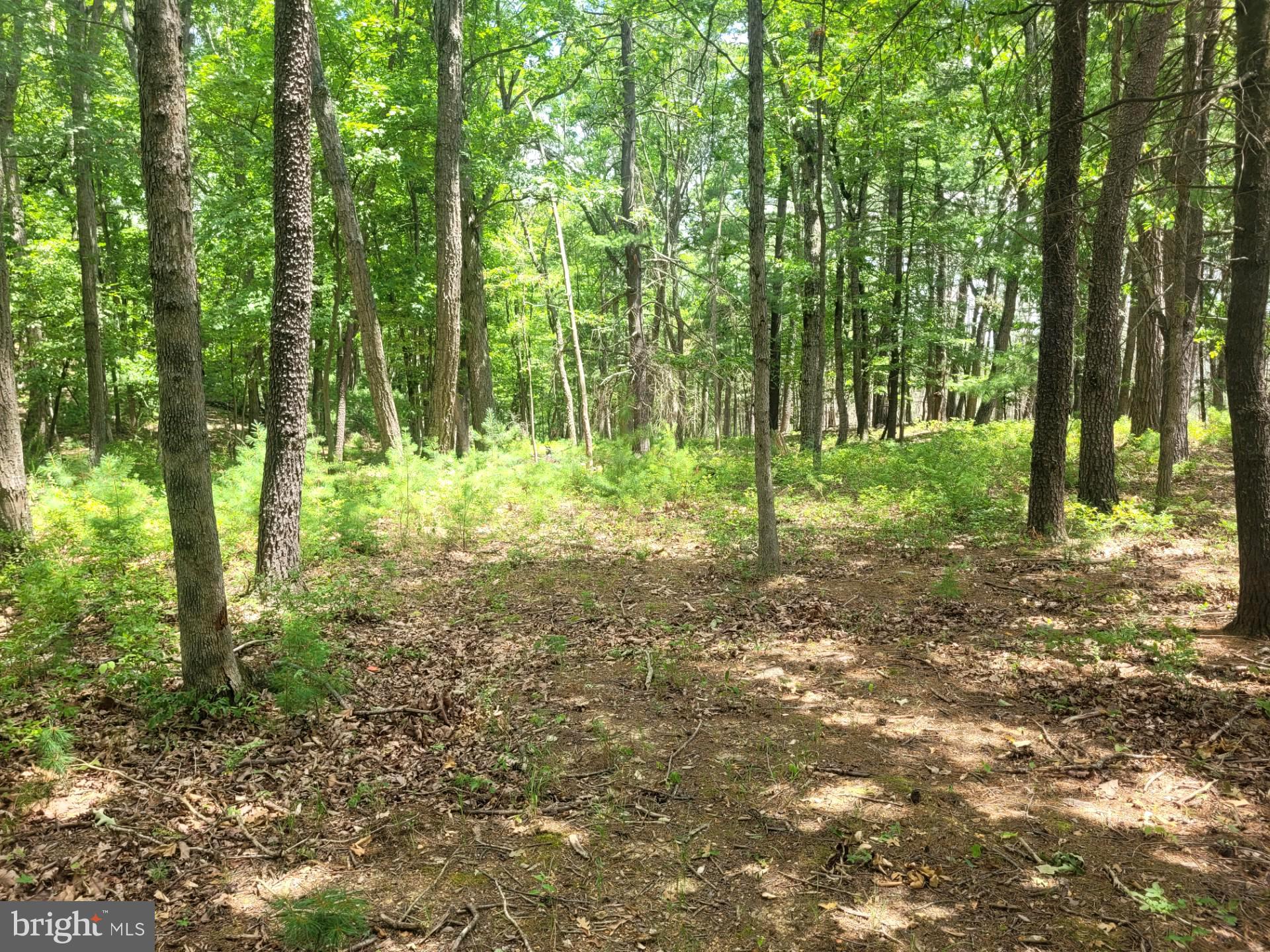RIVER RIDGE - Land