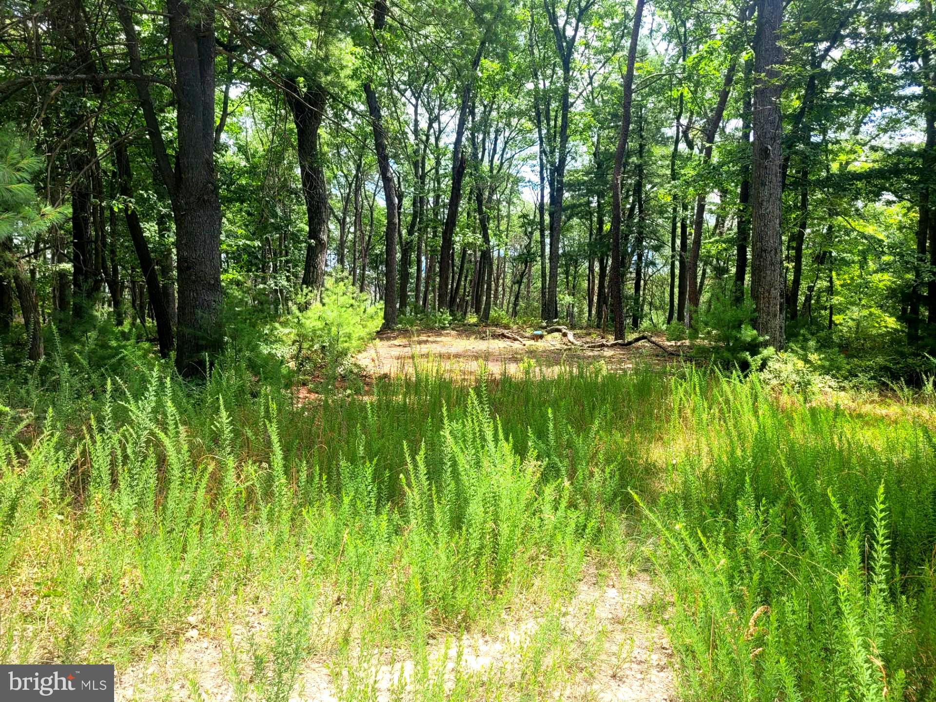 RIVER RIDGE - Land