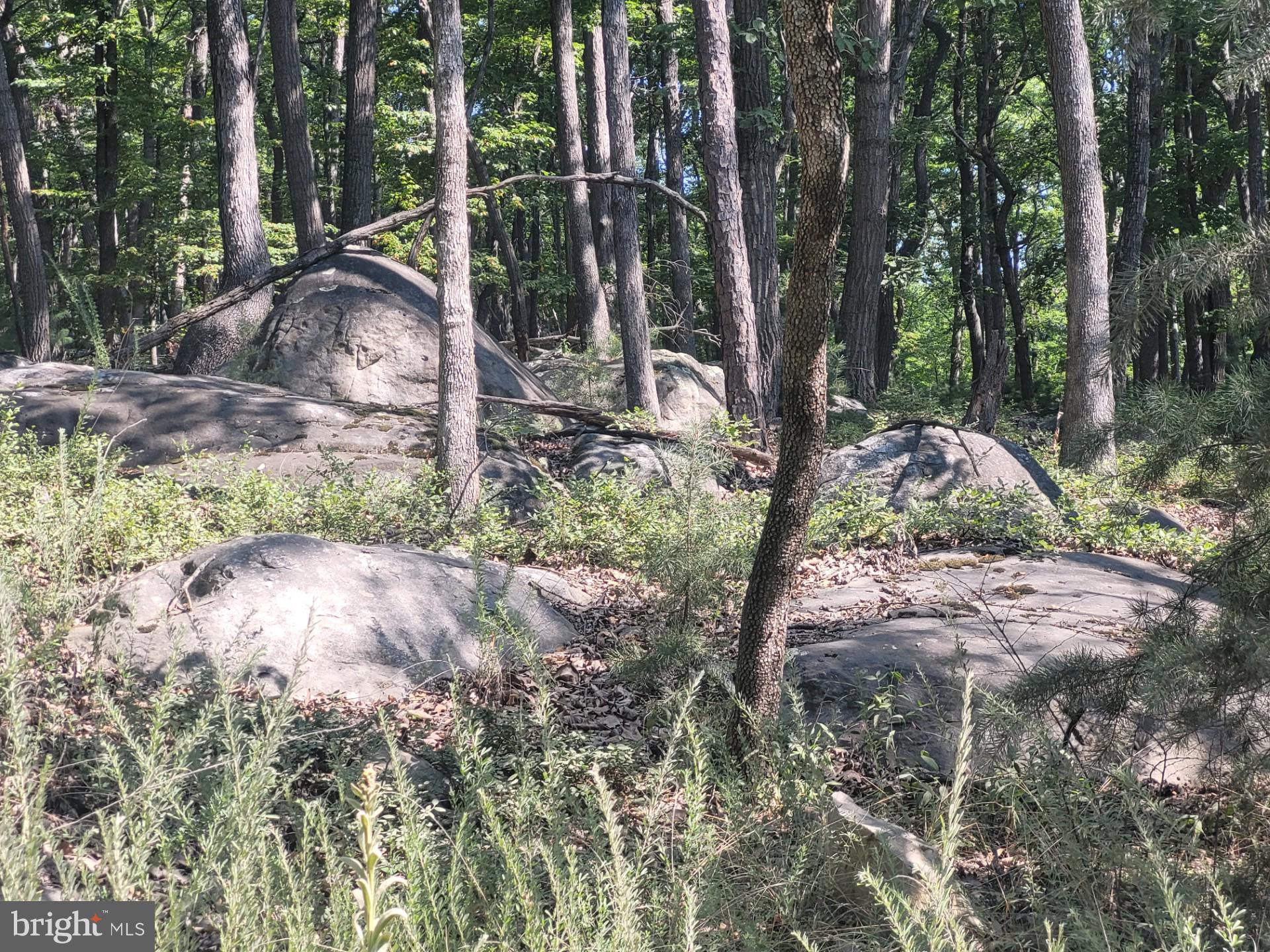 RIVER RIDGE - Land