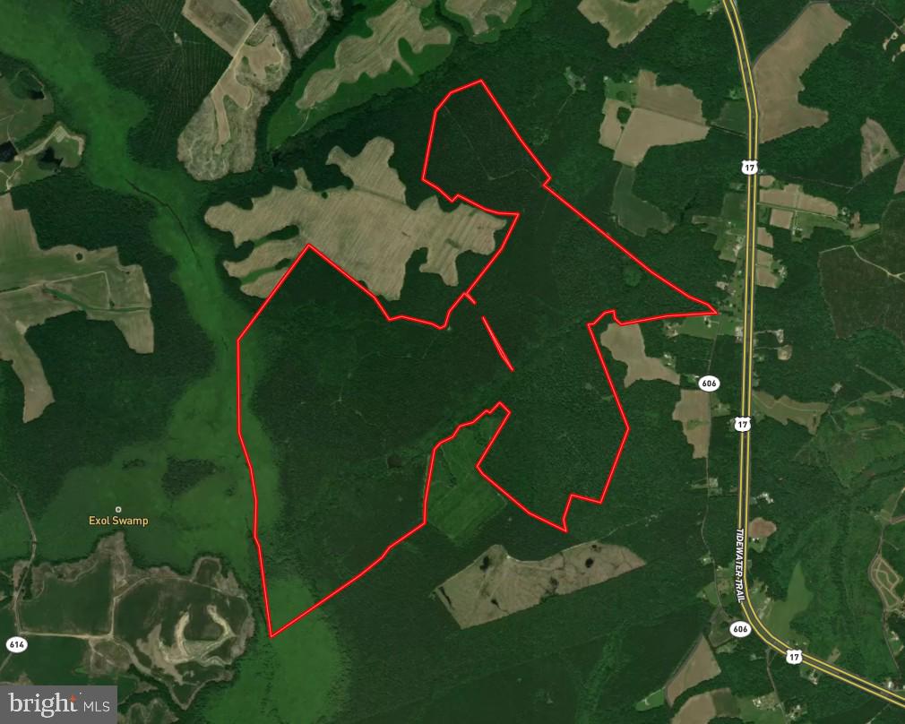 Didlake Tract (YK1808) — Key Land & Tax Summary
The Didlake Tract spans approximately 800 acres and is strategically positioned at the convergence of key hydrological features within the Dragon Run system, situated at the mouth of Exol Swamp as it flows directly into the Dragon Swamp. This relationship creates a landscape defined by water-driven ecology and natural boundaries, with the Dragon Swamp forming a dominant western edge of the property and reinforcing both environmental integrity and long-term land continuity . Spanning a substantial, contiguous block of conserved forestland, the tract is protected under a conservation easement held by The Nature Conservancy and is permanently maintained as a working forest—balancing ecological preservation with sustainable timber management.

The tract is defined by its scale and continuity, contributing to one of the largest unfragmented forest systems in the lower Chesapeake Bay region. Its timber base supports ongoing forest management practices, while its position within the Dragon Run and Mattaponi River corridor reinforces both habitat value and long-term environmental significance. As part of this broader conservation landscape, the property benefits from structural protections that prioritize land continuity and ecological function.

Per paragraph 2.1 Subdivision and paragraph 2.2 Building Envelopes, these properties can be managed for limited residential use, designed to minimize impact on the surrounding forest. The tract’s size and internal access also support a range of recreational uses, including hunting and passive land enjoyment, without compromising its primary function as managed timberland.

The Didlake Tract is best understood as a scaled, institutionally aligned landholding—where conservation objectives and biological productivity converge within a protected and increasingly scarce forest system. 

Property boundaries are estimated based on available data and are not warranted. Property owner to provide title research for Buyer prior to closing. 

Location & Identity
Name: Didlake Tract
Legal Description: Streets Tract #1808 & #2605, Lumpkin Tract #2613, Burrell Tract #2622, Butler Tract #2624, Clark Tract #2625, Sadler #1 Tract #1817, Sadler #2 Tract #1827, Dickerson Tract #1834, Didlake Tract #1835
Parcel ID: 63-5, 6-12, 6-11, 6-18, 6-15, 6-10, 63-6, 63-3, 63-2
County: Middlesex County, VA and Essex County, VA
Coordinates: 37.7553469, -76.7256059

Acreage & Size
Total Acres: 800 acres (note: marketed 800 acres—needs reconciliation)

Volume Breakdown
Hardwoods
Sawtimber: 1,153.94 MBF 
Pulpwood: 6,836.17 tons

Softwoods
Sawtimber: 4,565.27 MBF
Pulpwood: 27,464.63 tons