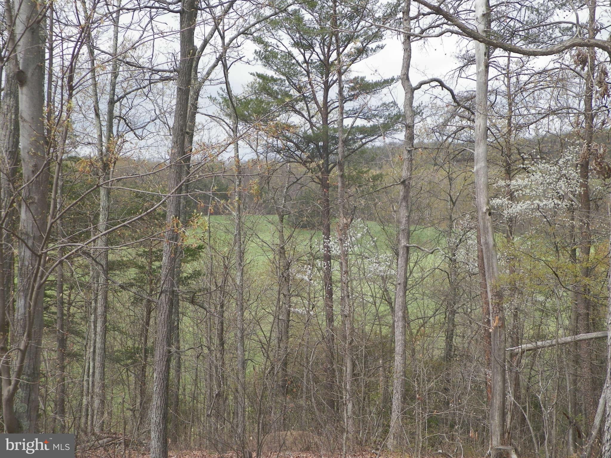 TWIN PONDS - Land