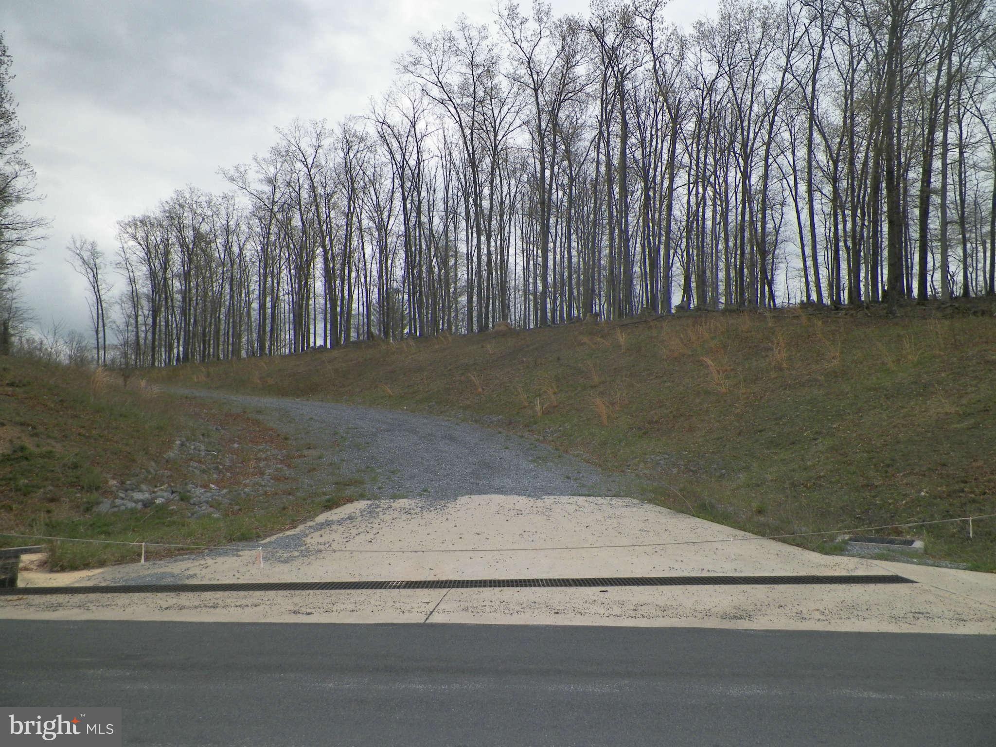 17.09 acre piece of land which has been platted into 9 lots entrance in roads have been cut and graveled..