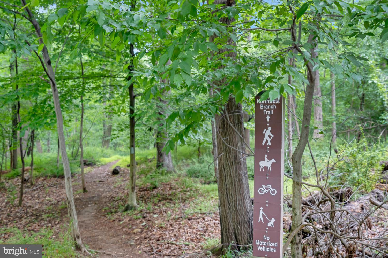 BONIFANT WOODS - Residential