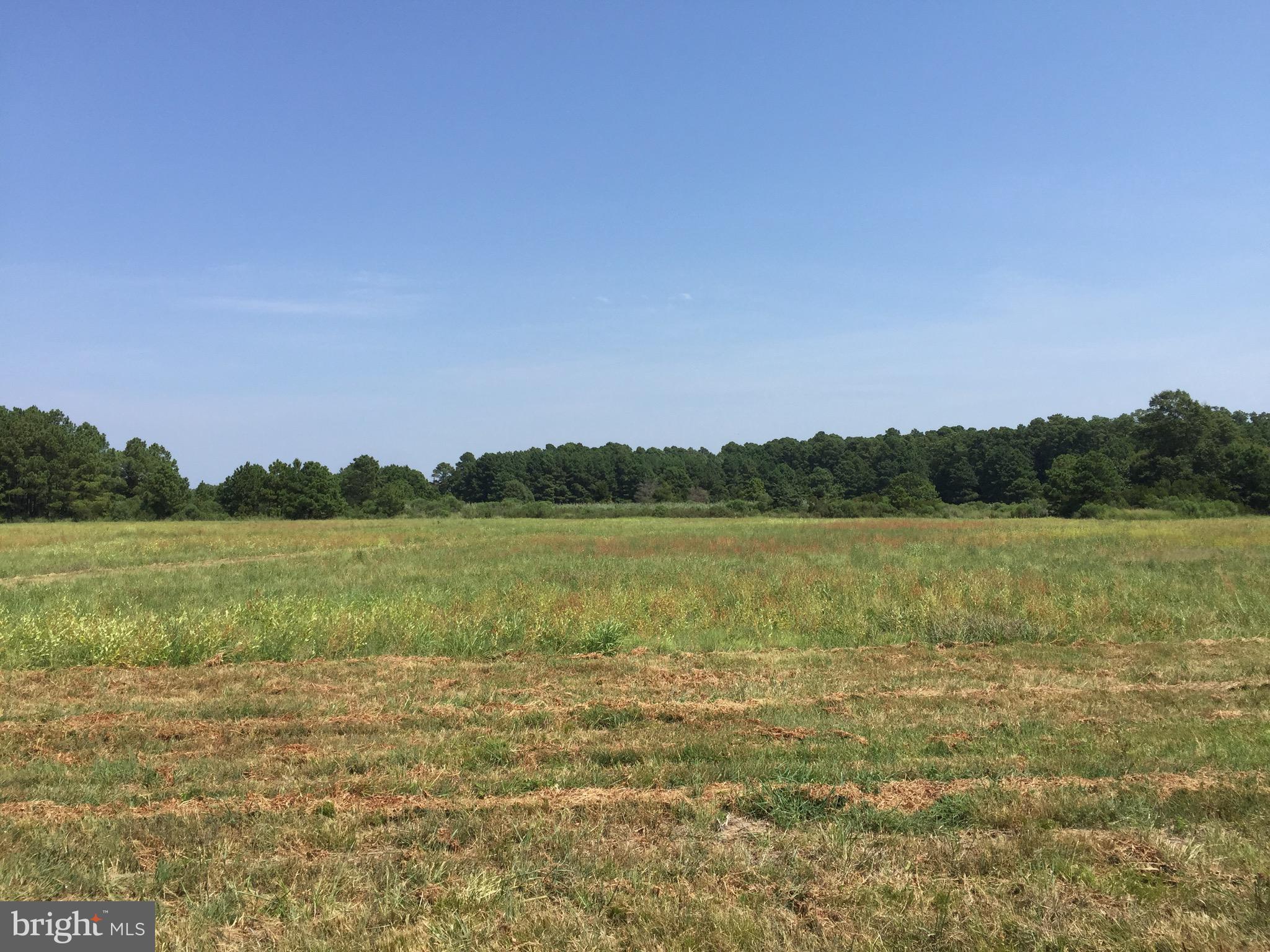 FERRY FARMS ESTATES - Land