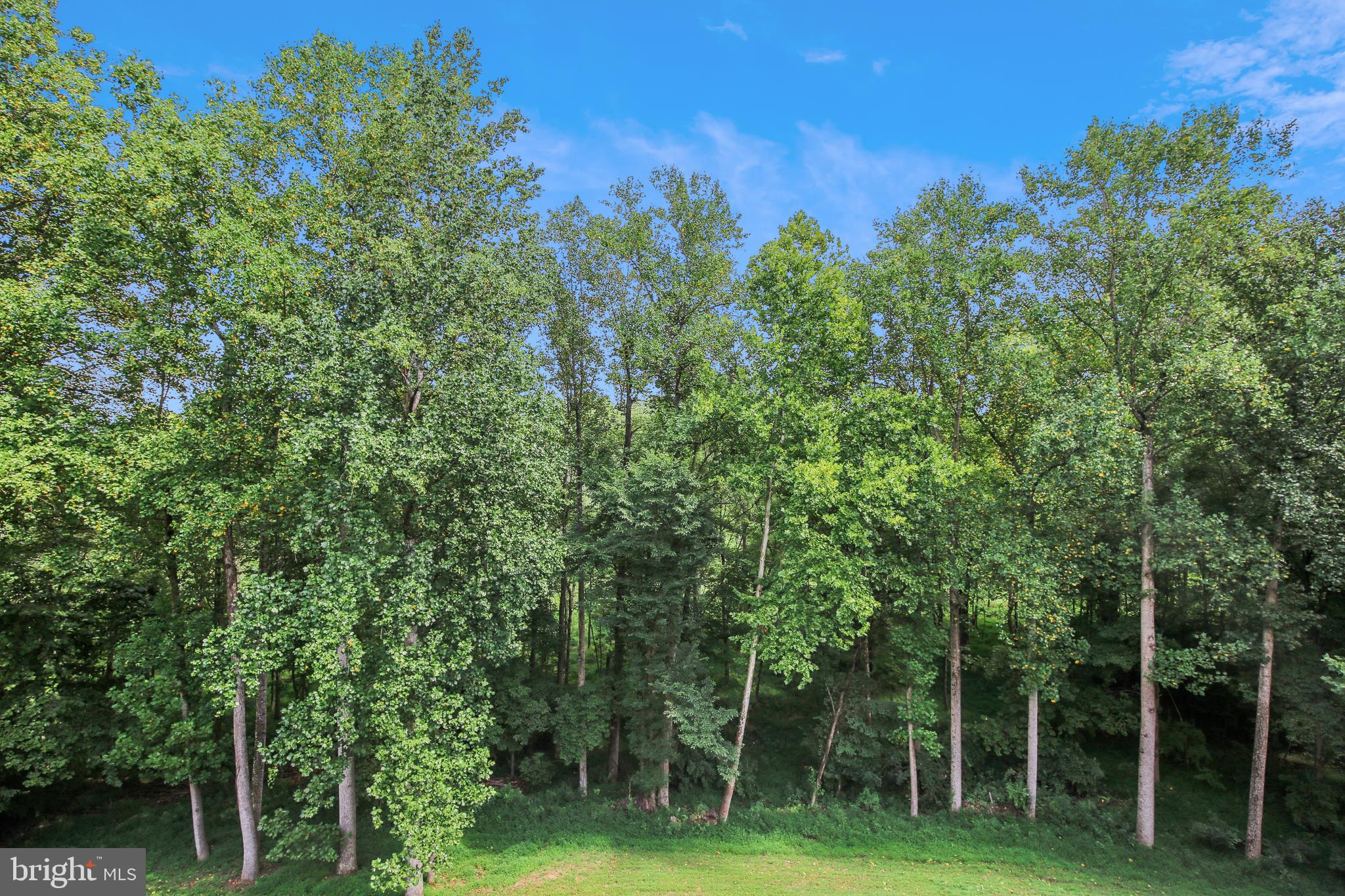 BROWNS MILL FOREST - Residential