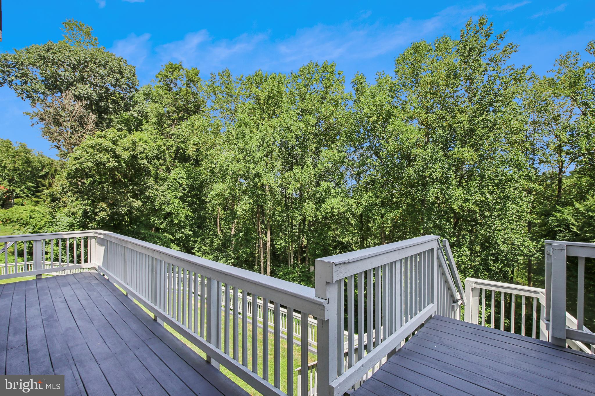 BROWNS MILL FOREST - Residential
