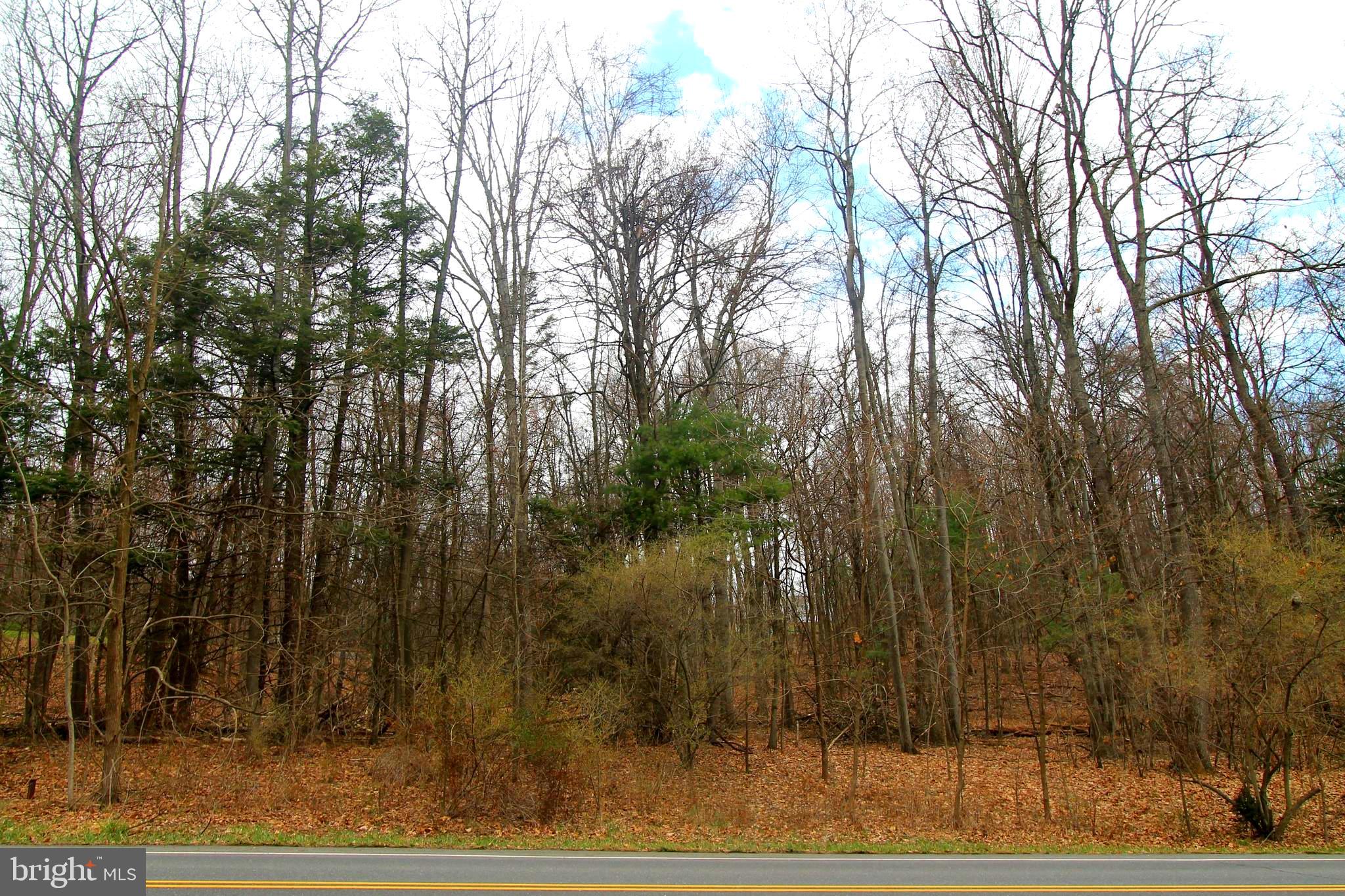 WOODS AT SAND RIDGE - Land