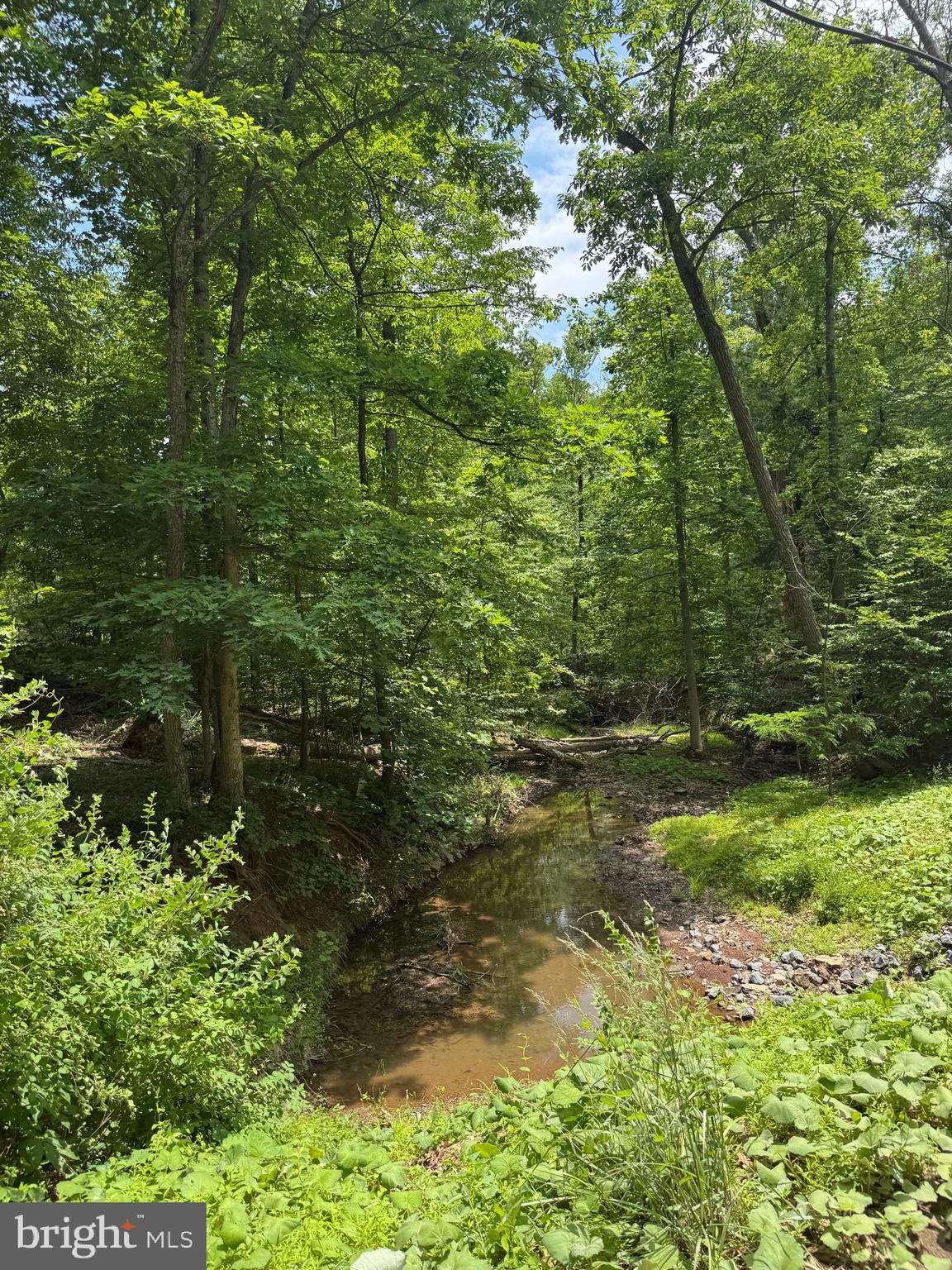 SLEEPY HOLLOW - Land