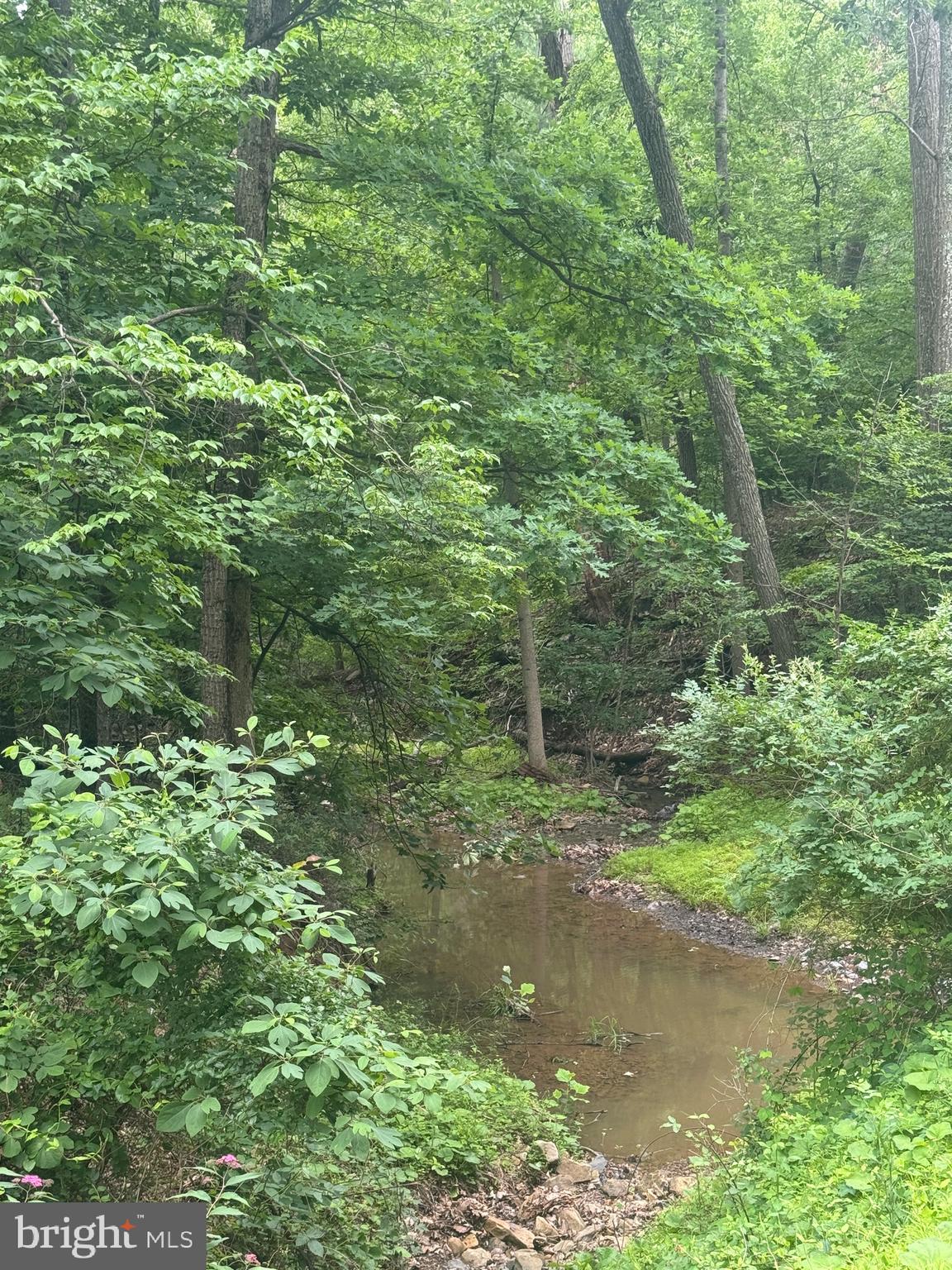 SLEEPY HOLLOW - Land