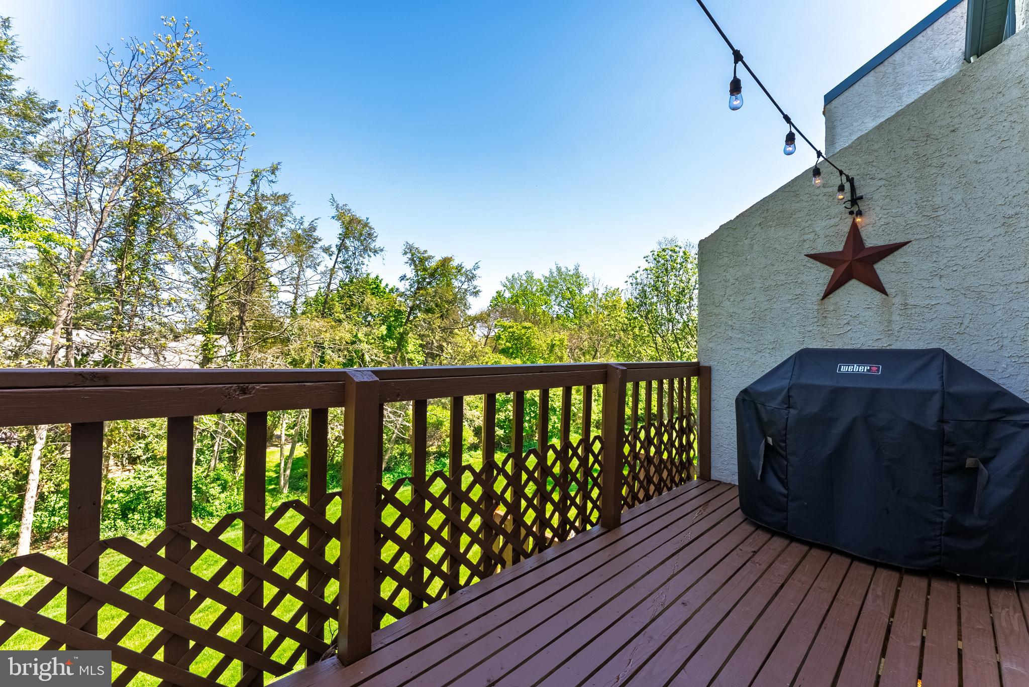 WILLISTOWN WOODS - Residential