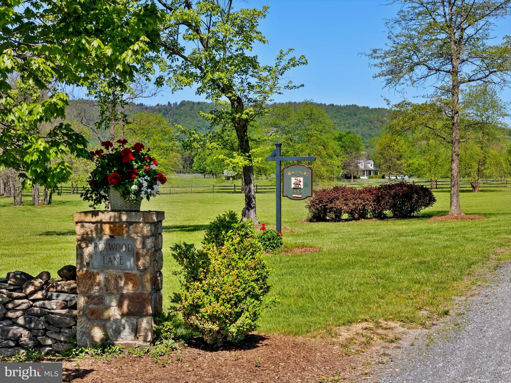 BLUEMONT - Residential