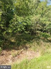 .27 Acres of wooded land located between 2600 and 2650 Lewisberry Rd in York Haven.  Call Newberry Township for zoning and what could be built on the lot.