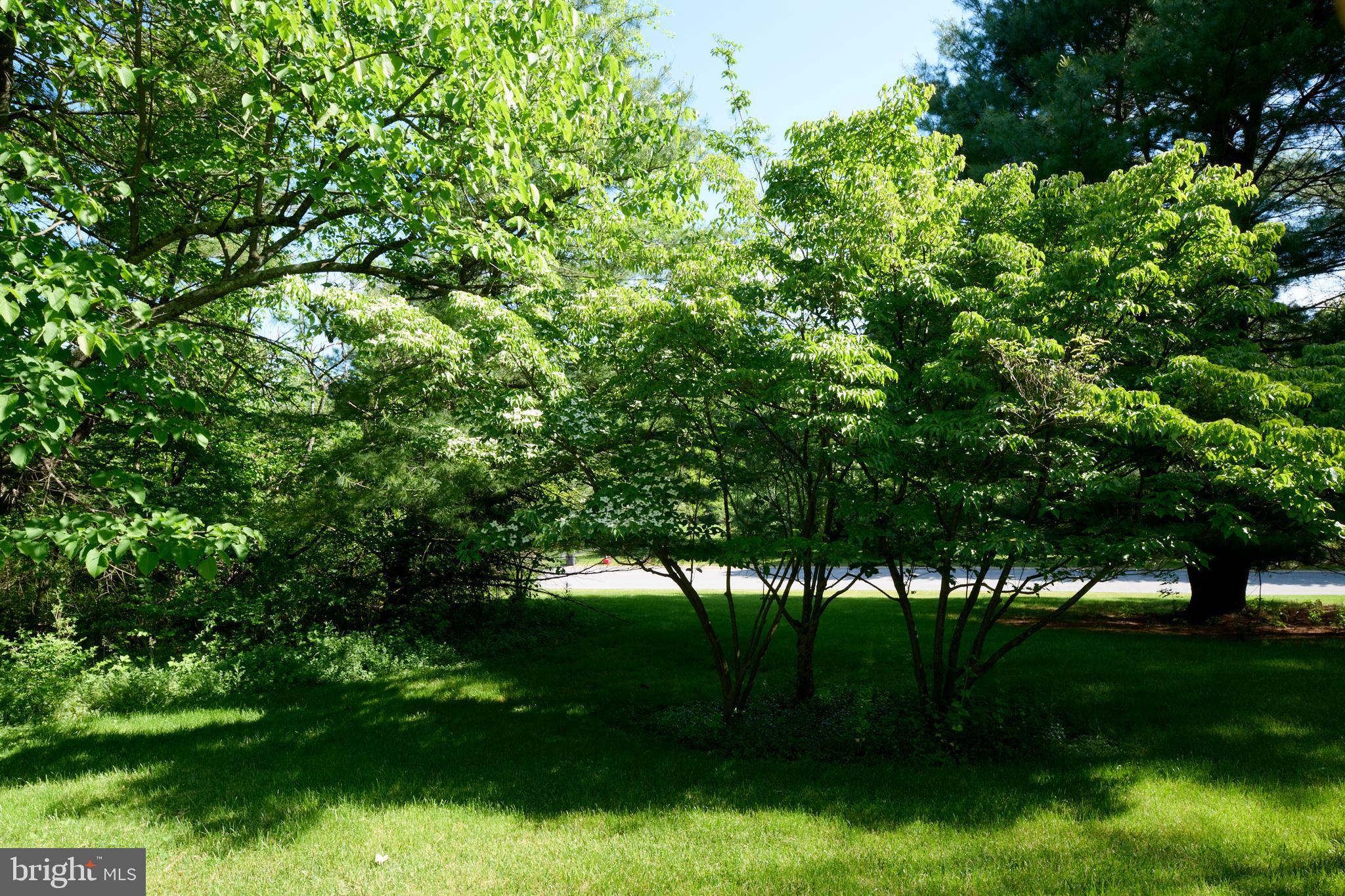 CEDAR CLIFF - Residential