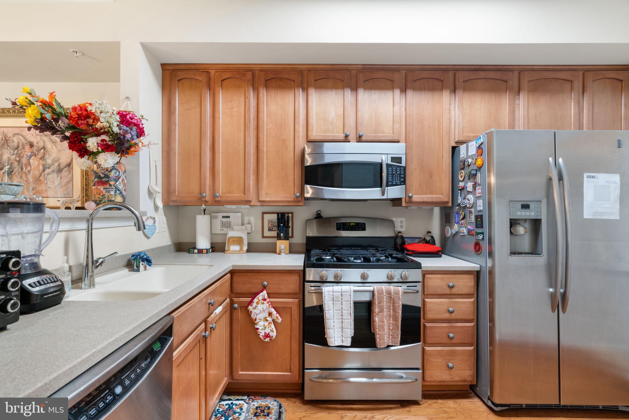 CHATSWORTH VILLAGE CONDO - Residential