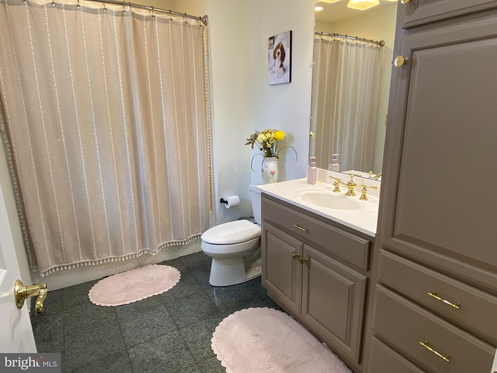 BRADDOCK ESTATES - Residential