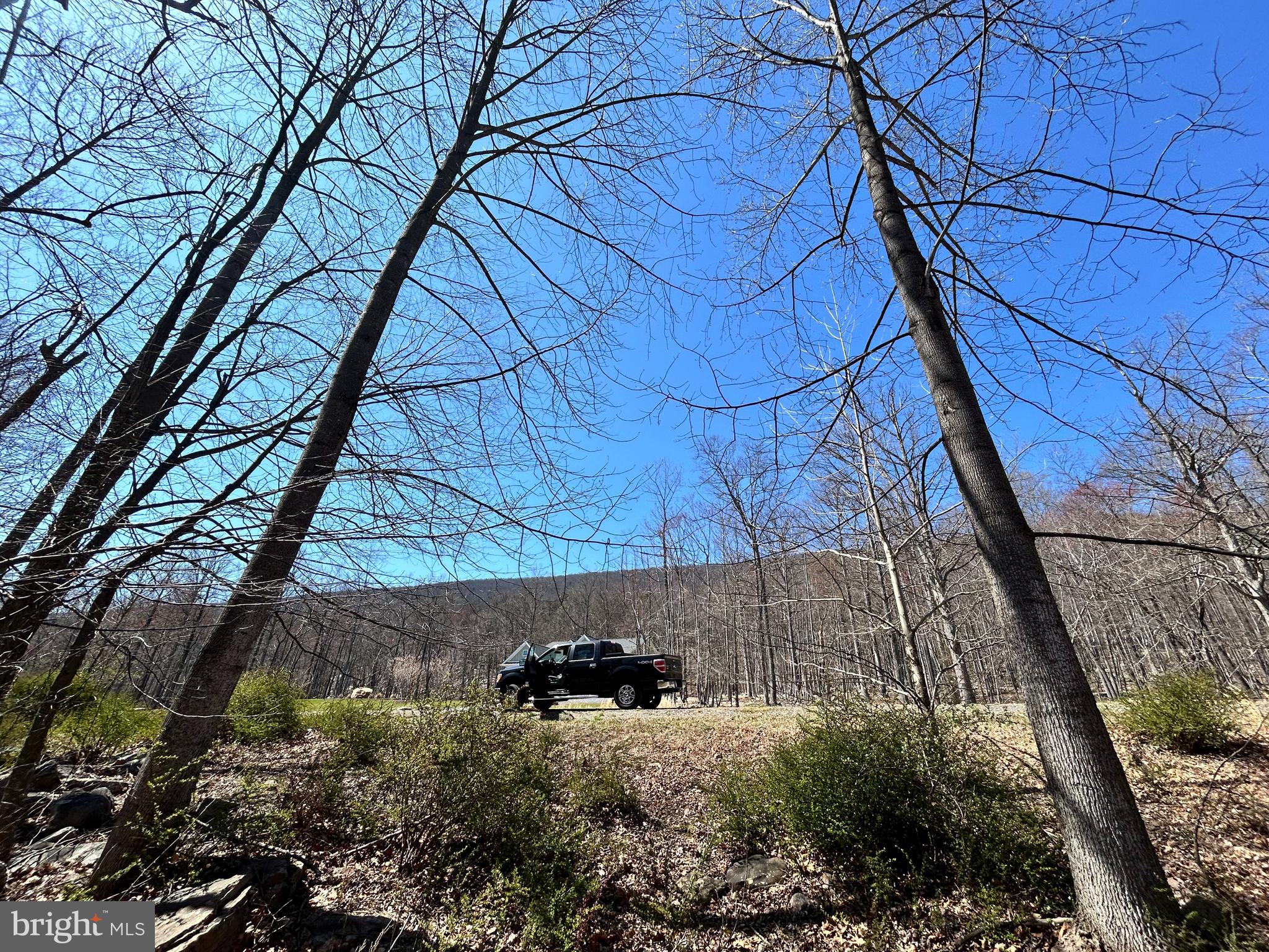 CACAPON EAST - Land