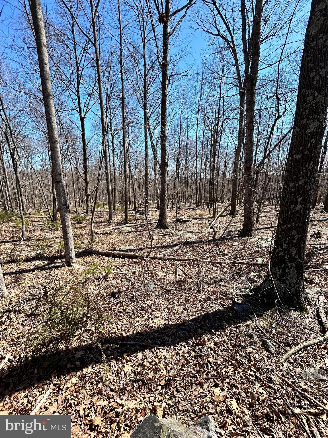 CACAPON EAST - Land
