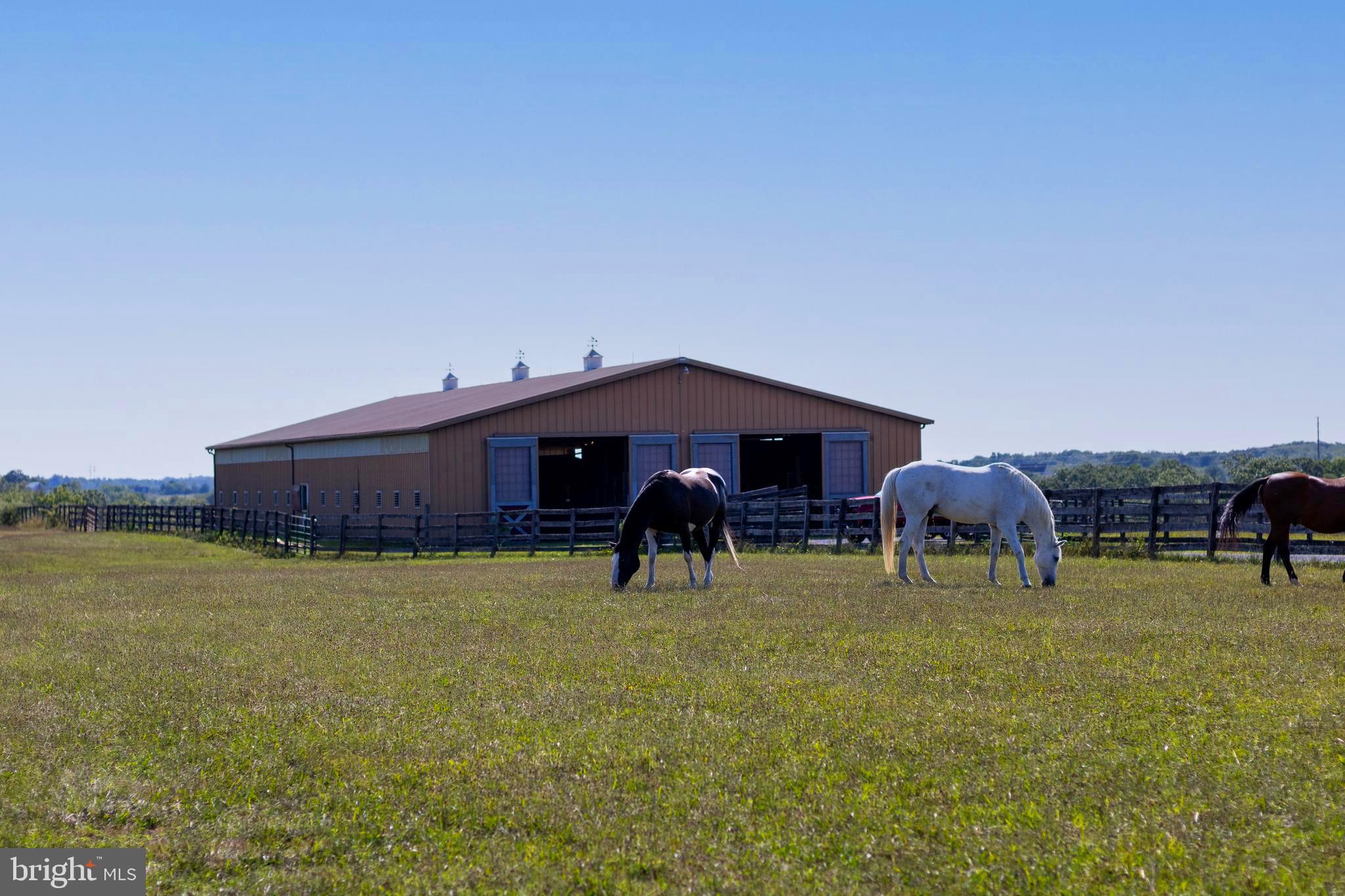 Have you ever dreamed of owning a Horse Farm? This equestrian paradise with gorgeous mountainous views can be yours! Welcome to this extraordinary 34-acre horse facility strategically located in Central Pennsylvania and accessible from all major East Coast highways. 

It’s currently operating as a boarding facility, but this property has many more income producing possibilities. It could be used for layover stabling, lessons, and recreational riding. It’s also Pennsylvania Breeders Fund eligible for breeding and racing PA thoroughbreds.

Included are two Morton Buildings. Building one is 60' x 156' and has twenty stalls, automatic watering, a tack room, and ample space for more. Building two is 54' x 126' and has an indoor arena and a livable groom's lounge. You’ll also find an outdoor corral and various paddocks divided within miles of quality fencing. With its prime location, amenities, and magnificent mountain views. Included in the sale price is Tax ID# 21-13-0966-013. 140 Wagner Dr. Carlisle, PA. 17013. The possibilities are endless. It's a must see.
