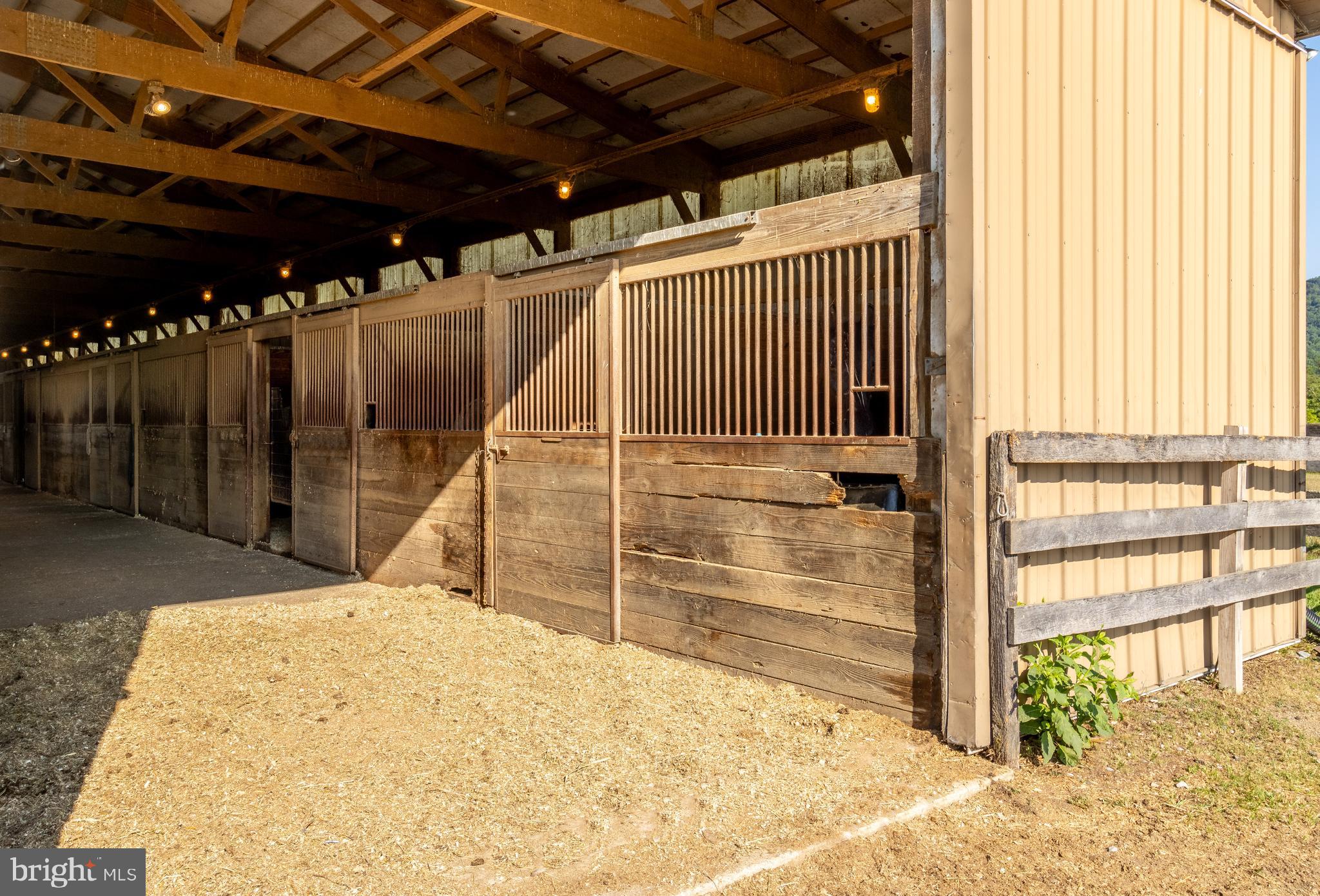 NONE AVAILABLE - Farm