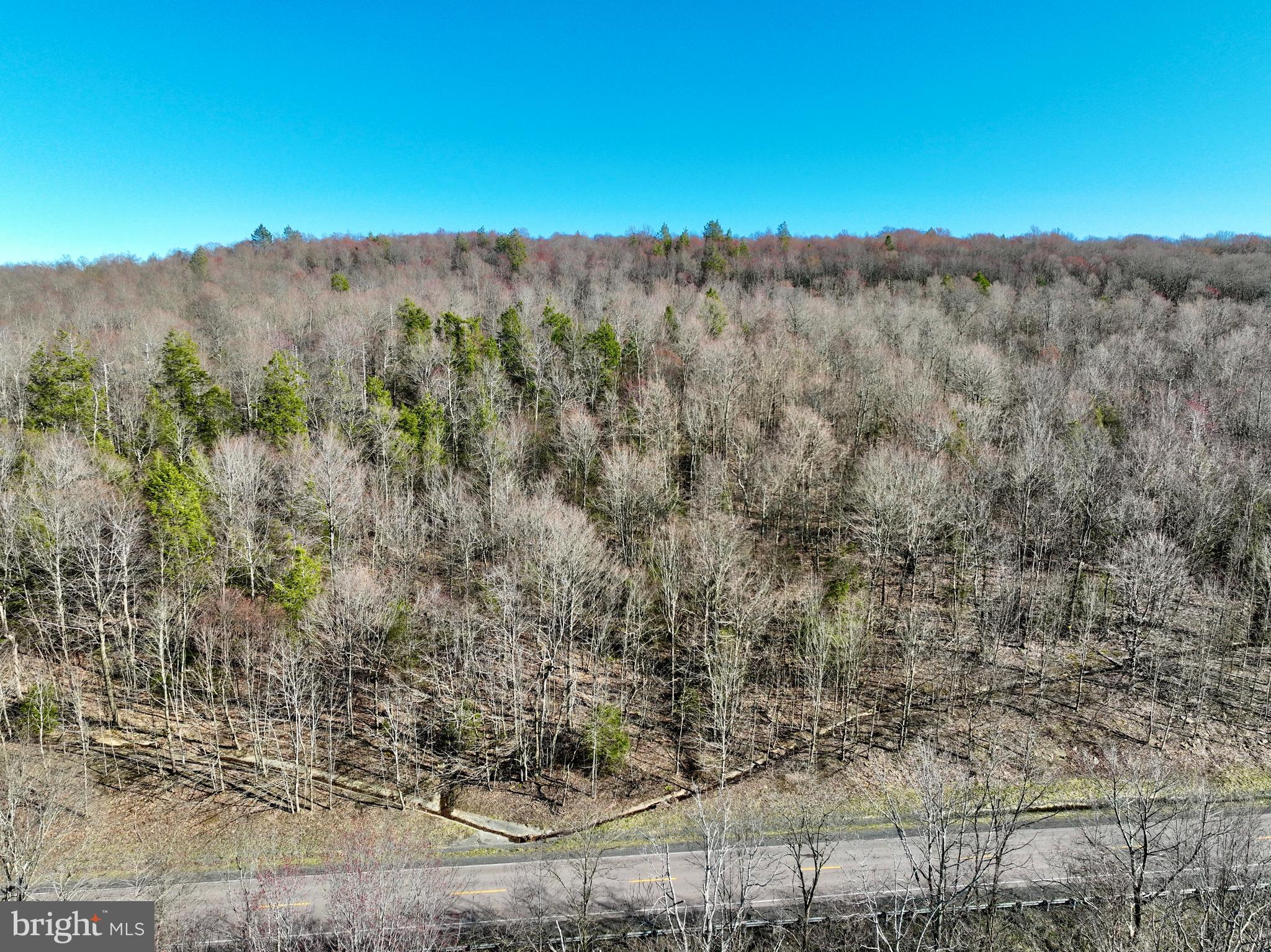 7.28 acres of recently surveyed with clearly marked corners, this property offers a unique opportunity for those looking for space in nature without the constraints of an HOA.  With the added benefit of being able to hunt on the land, outdoor enthusiasts will find this site ideal for adventure and recreation. Don’t miss your chance to embrace the freedom and possibilities that come with such an expansive and unrestricted plot of land! Act now and make this property yours! A right of way has been approved by the county and the permit is on file. This property will not perc.