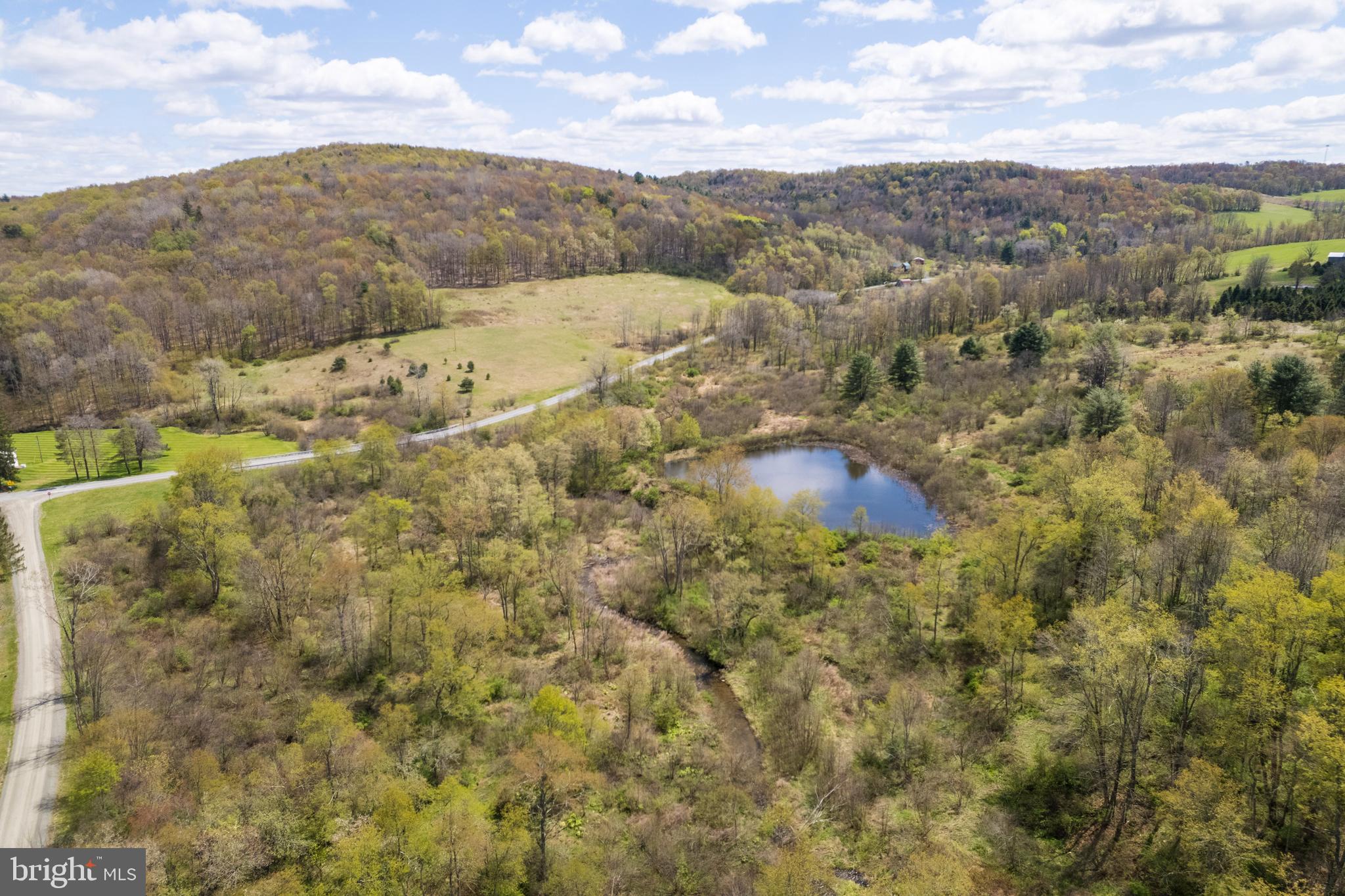 SELLER FINANCING AVAILABLE

Discover an exceptional opportunity in Montrose, PA—approximately 14± acres (with the seller willing to subdivide) that once served as a private hunting and fishing retreat and is now ready for your vision. This property is a rare blend of open meadows, mature woodland, and a peaceful pond, creating a setting that feels both secluded and full of potential.

Whether you’re dreaming of building a custom home, seeking a recreational escape, or looking for a smart land investment, this parcel checks every box. It’s the ideal size—large enough for adventure, yet manageable enough to enjoy—with endless possibilities for outdoor recreation, wildlife watching, or simply unwinding in nature.

With excellent road frontage and electric available at the street, convenience meets tranquility in the best way. Properties offering this level of versatility, natural beauty, and affordability are increasingly hard to find.

Don’t miss your chance to create something truly special in this alluring and peaceful setting. Schedule your private tour today!

"LESS ACREAGE CAN BE NEGOTIATED" OGM's Convey with the property! No gas leases in place.
